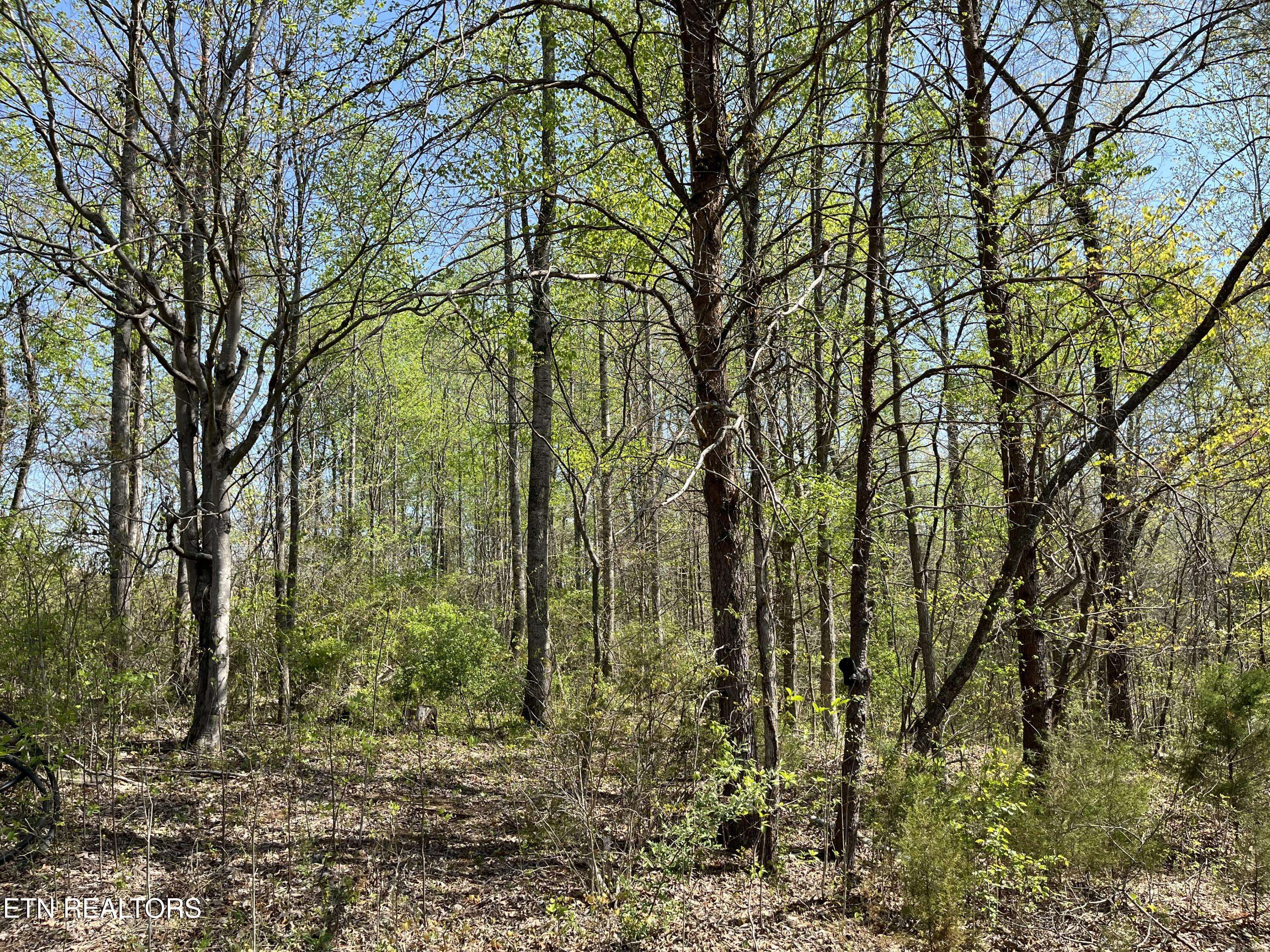 Tellico Plains, TN 37385,1.01 AC Fairview Rd