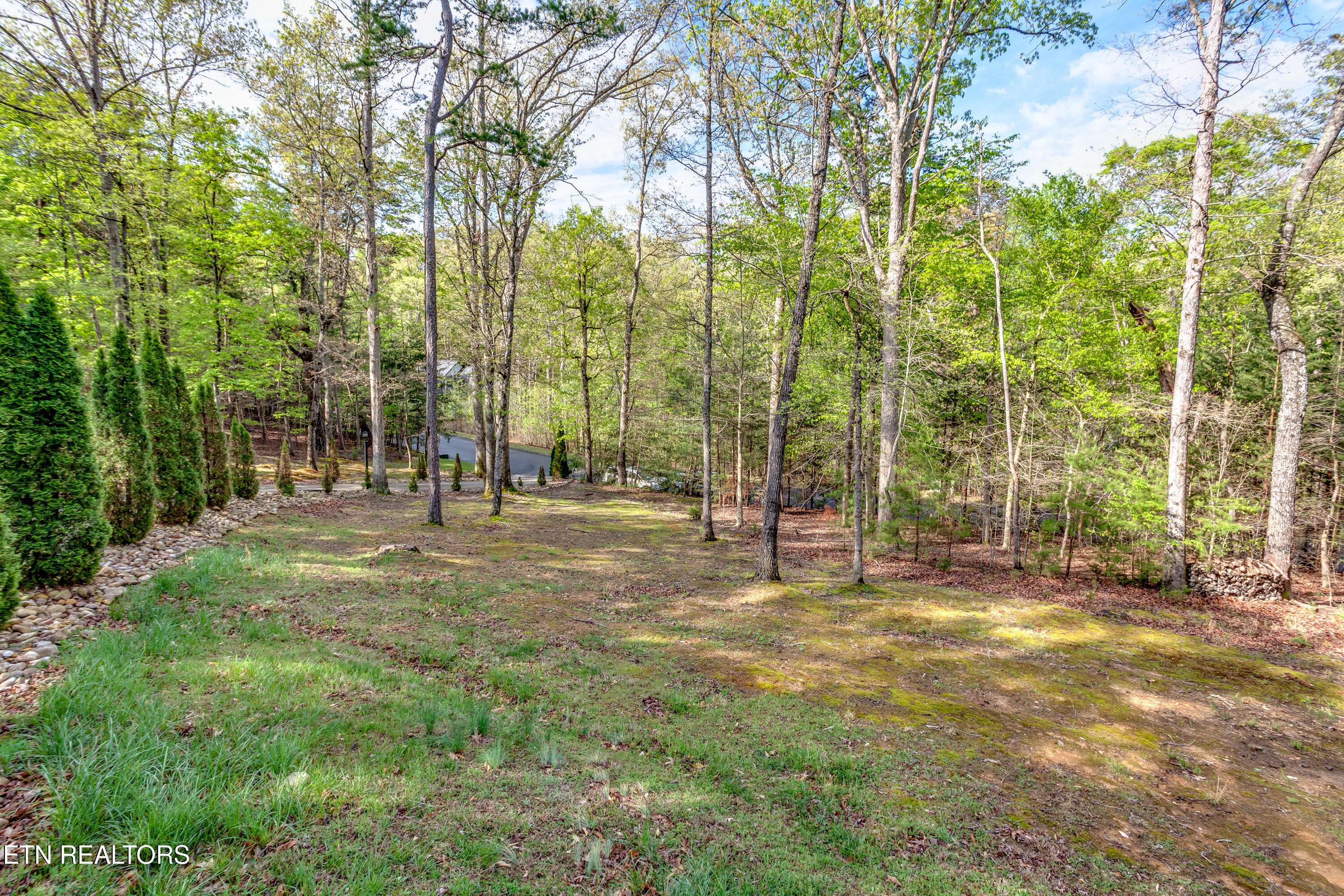 Dandridge, TN 37725,168 Cove Springs DR