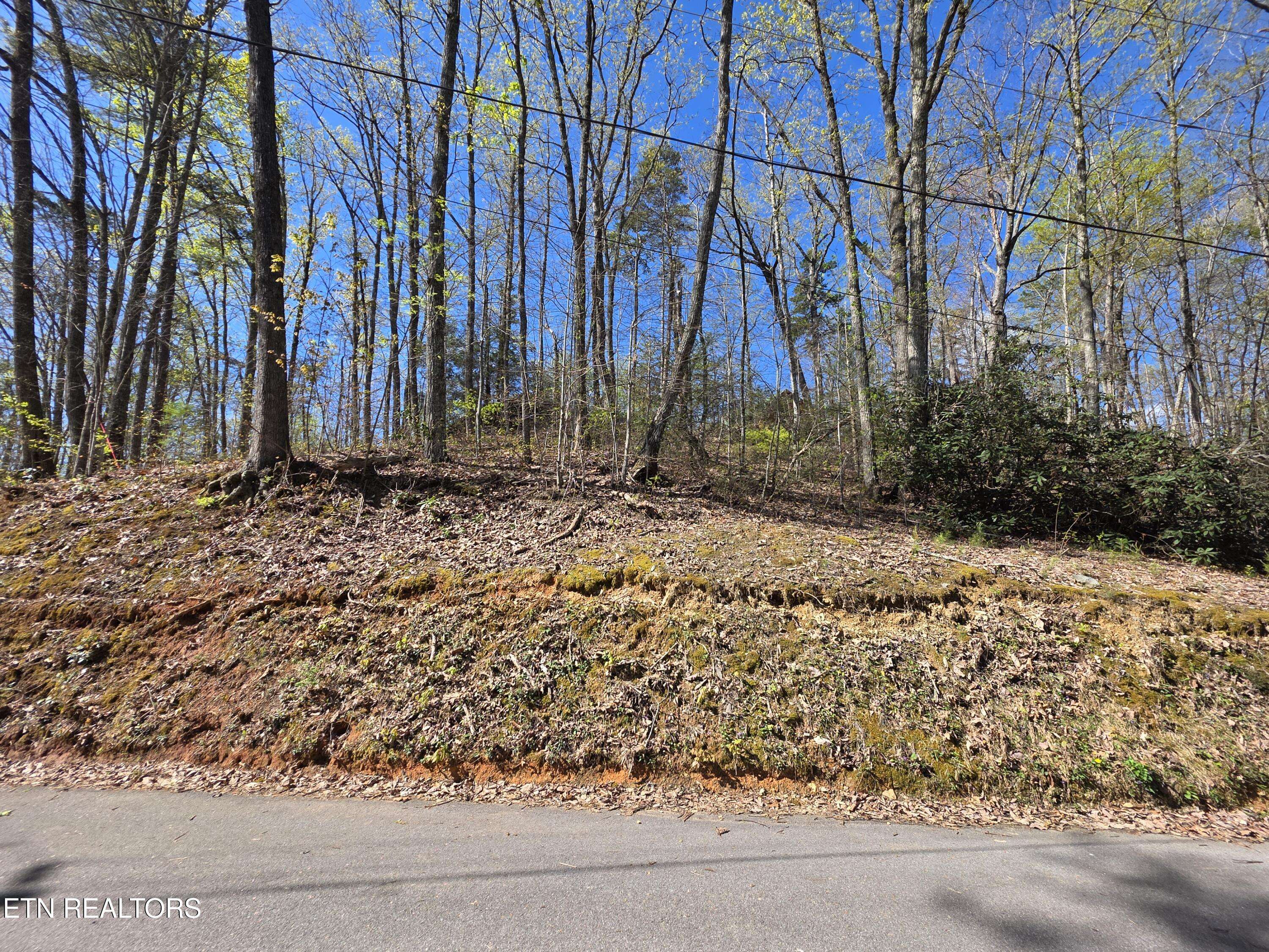 Gatlinburg, TN 37738,Carter Plaza Lot 2