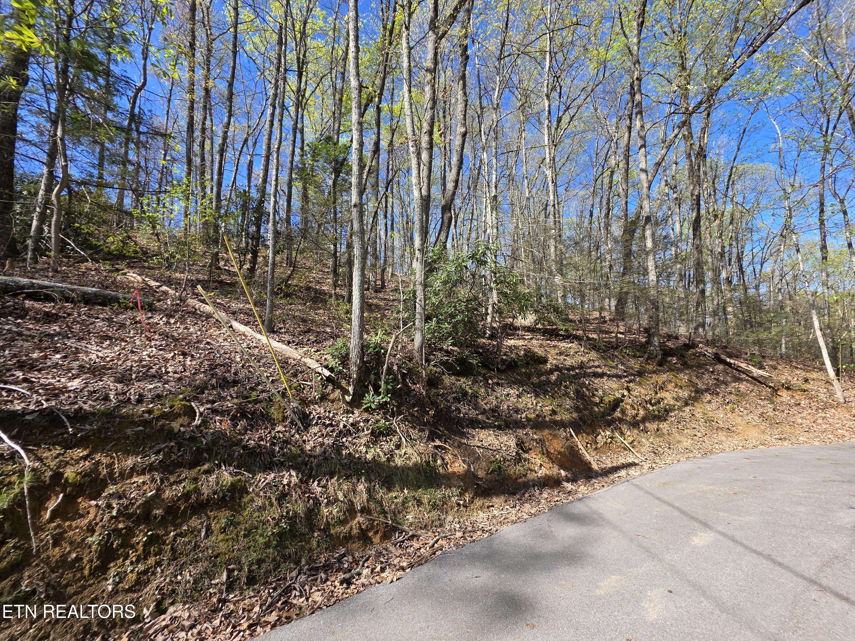 Gatlinburg, TN 37738,Carter Plaza Lot 3