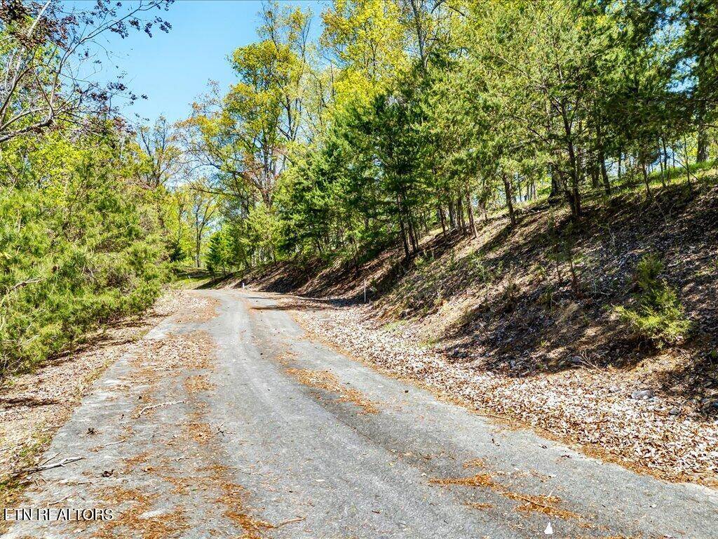 Whitesburg, TN 37891,Lot 49 Hickory Knoll CIR