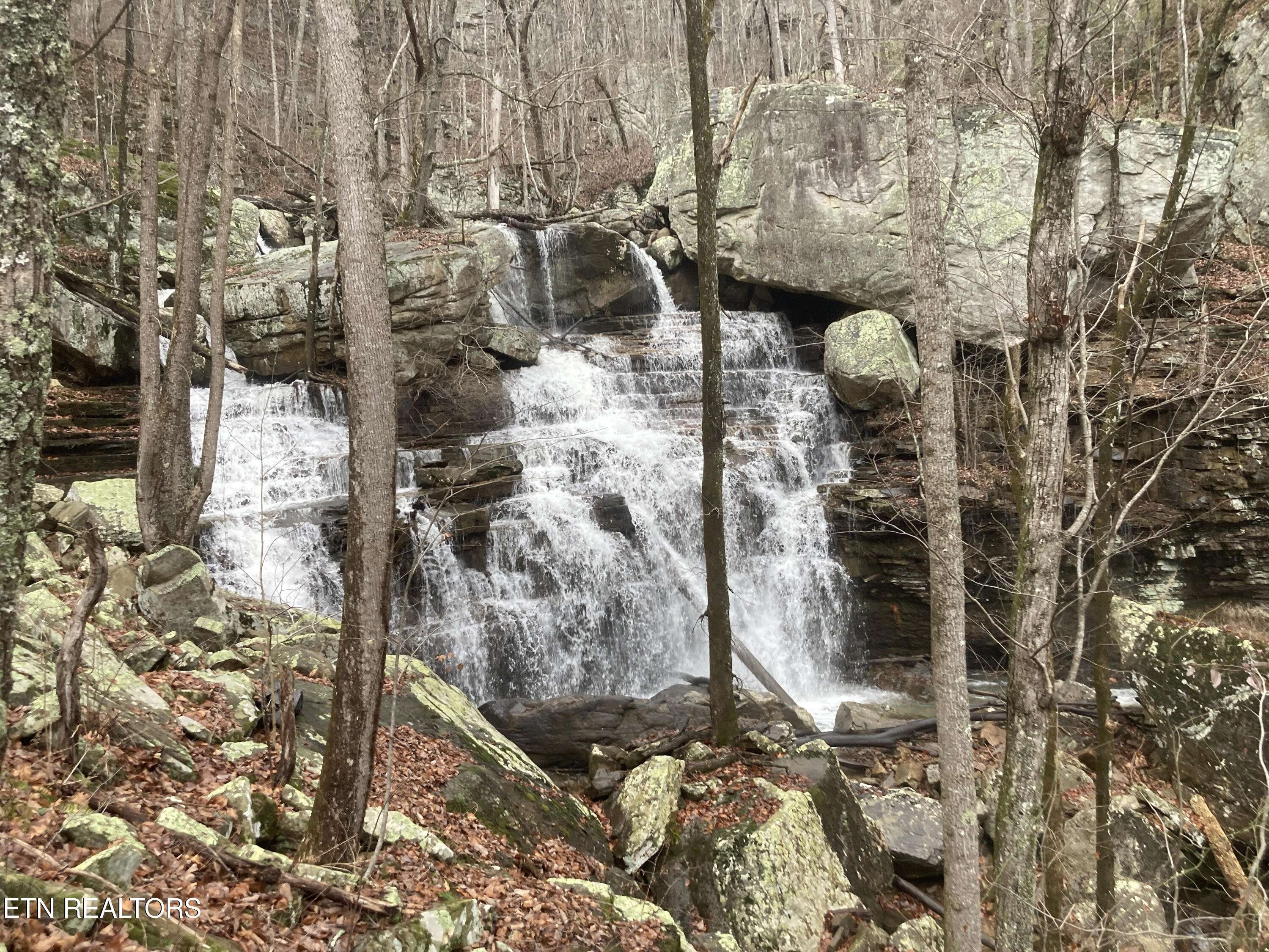 Pikeville, TN 37367,Old Spencer Rd. - 200 Acres