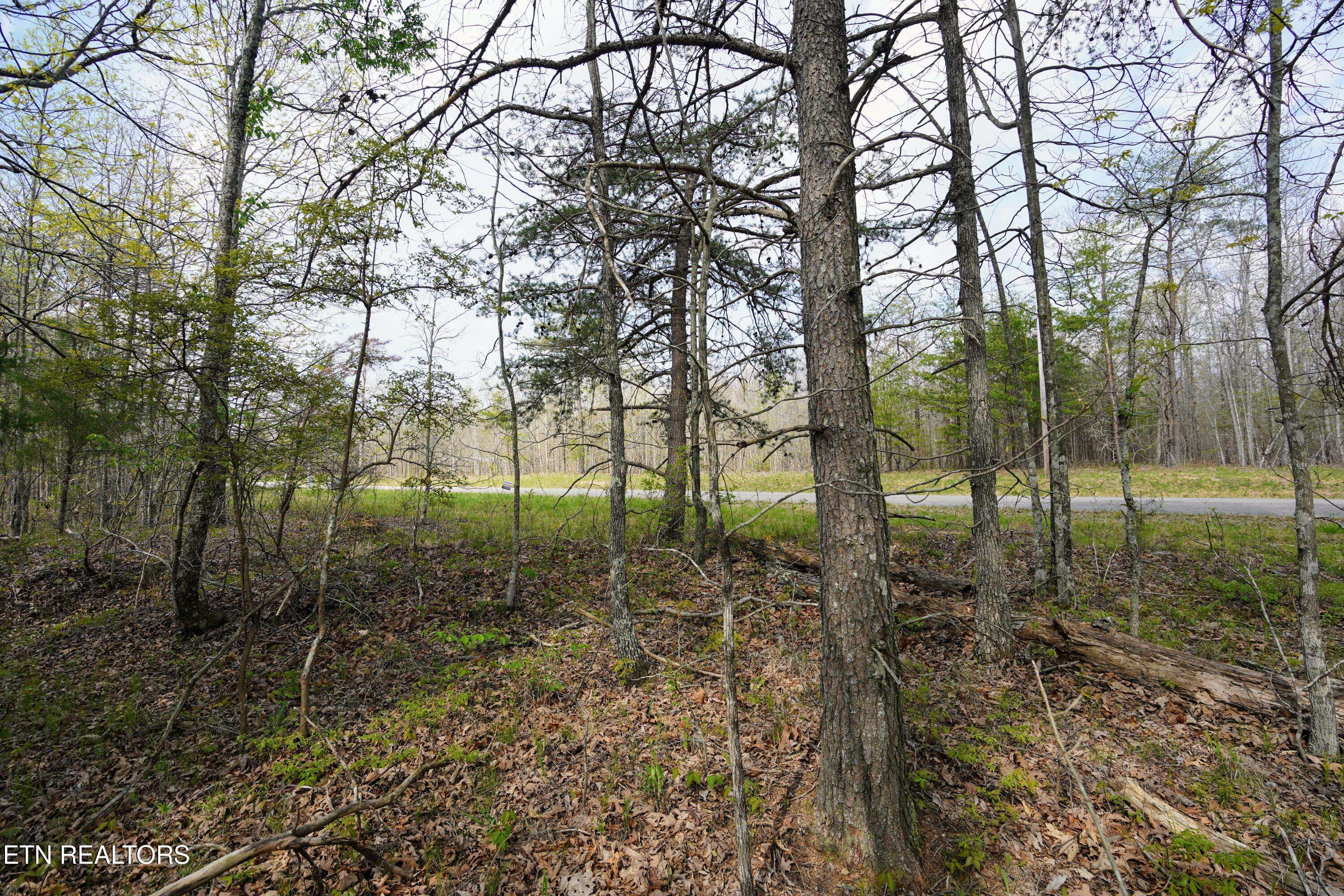 Pikeville, TN 37367,Lot 46, 47 Gray Rock VW
