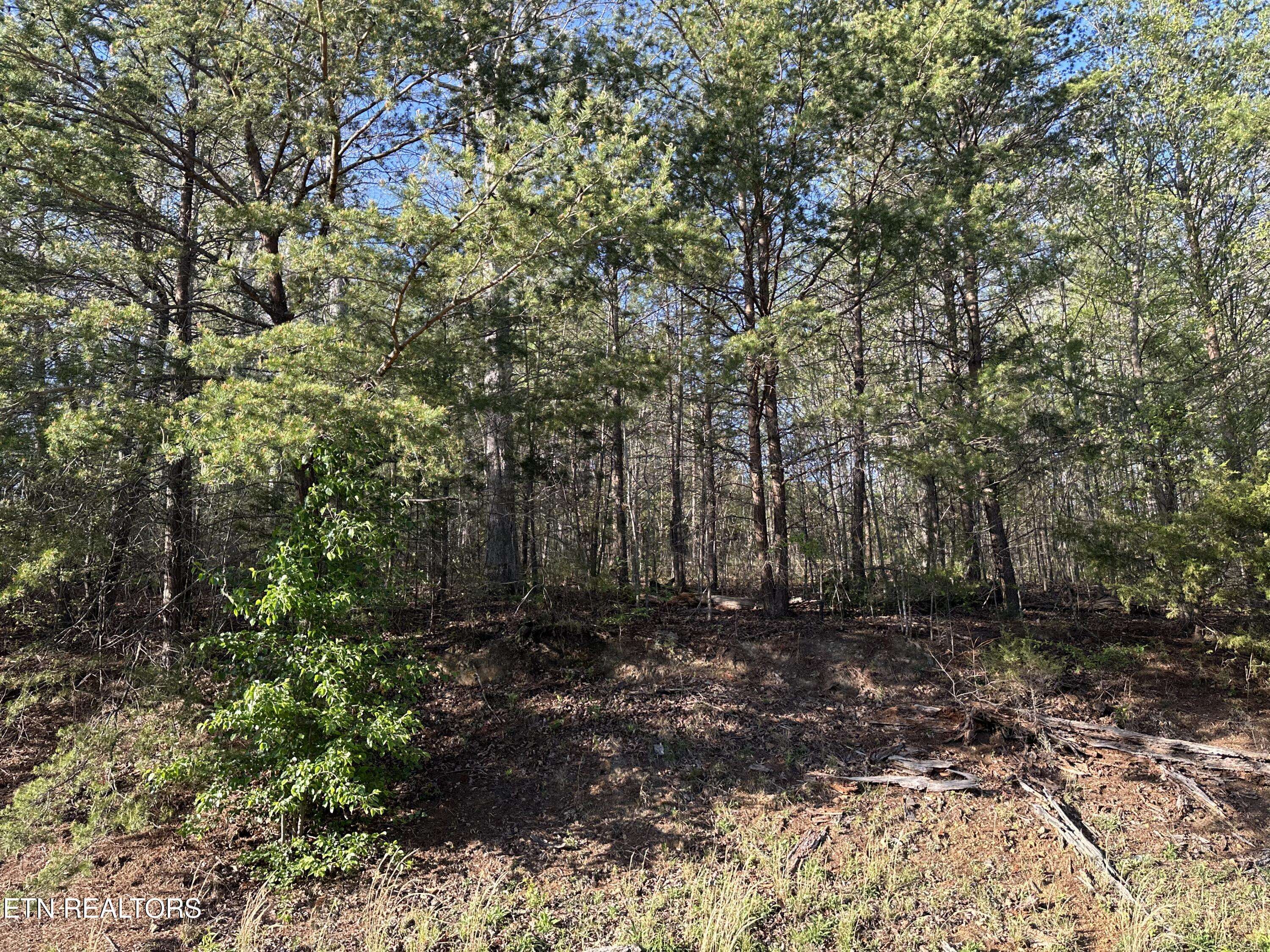 Newport, TN 37821,Lot 2 Timber Trail