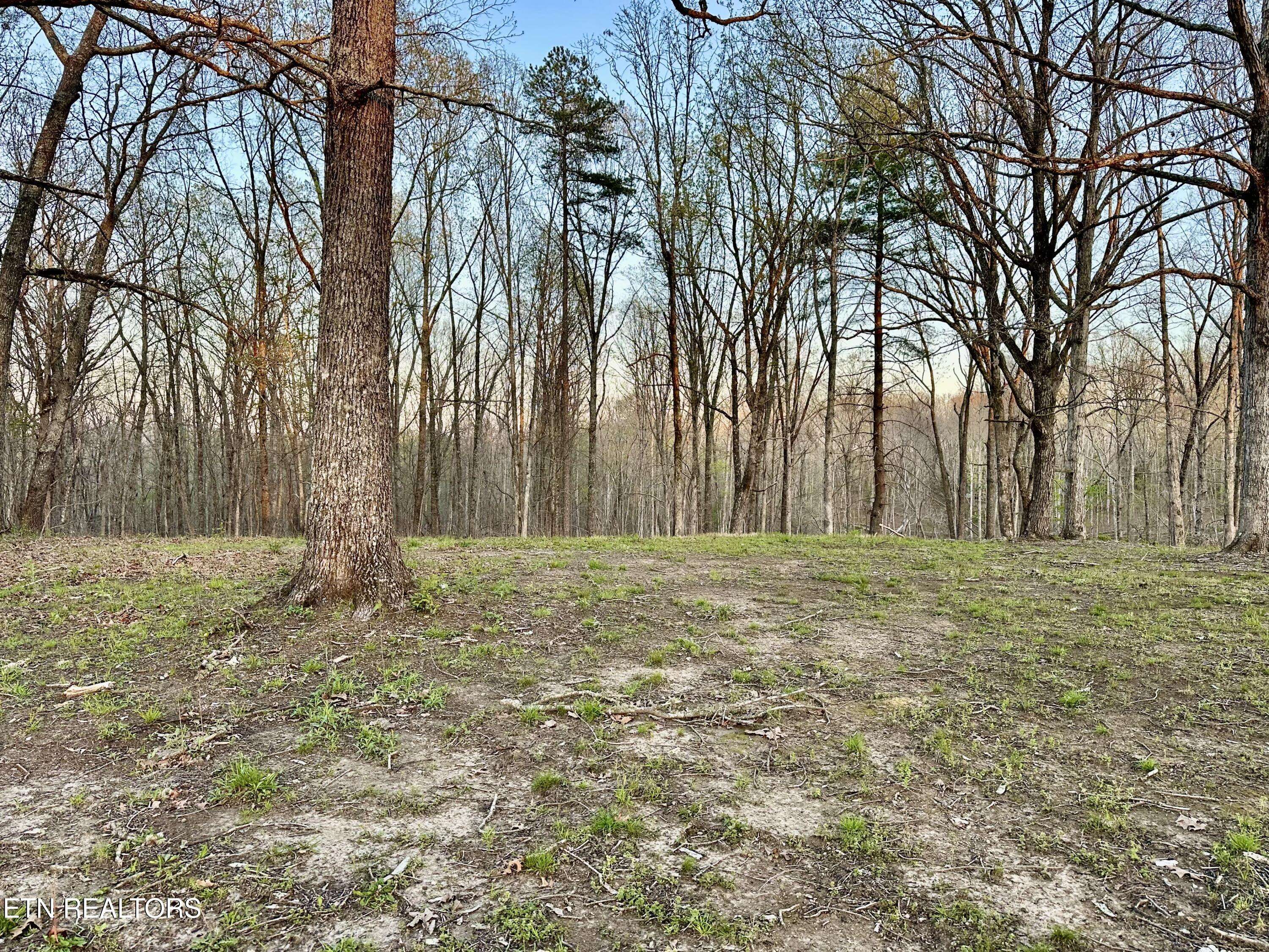 Sunbright, TN 37872,Hugh Jones Rd