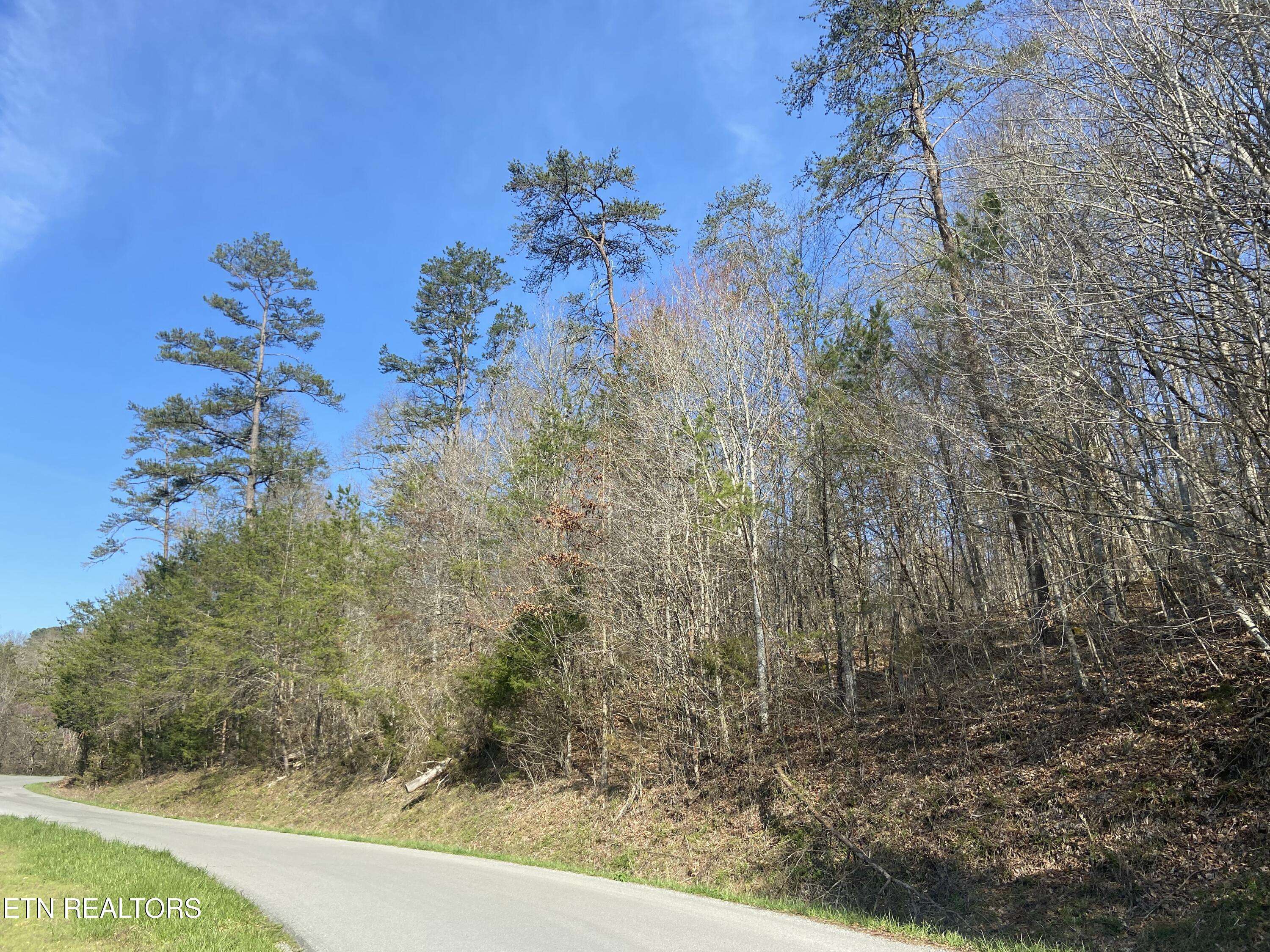New Tazewell, TN 37825,17 Mountain Shores Rd Rd