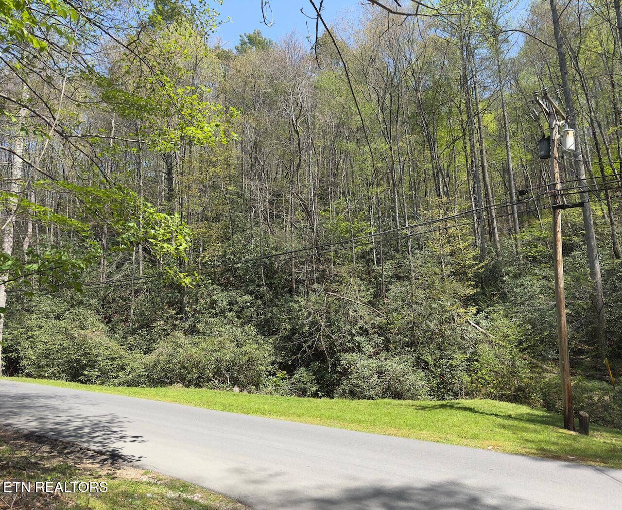 Gatlinburg, TN 37738,Butler Branch Rd