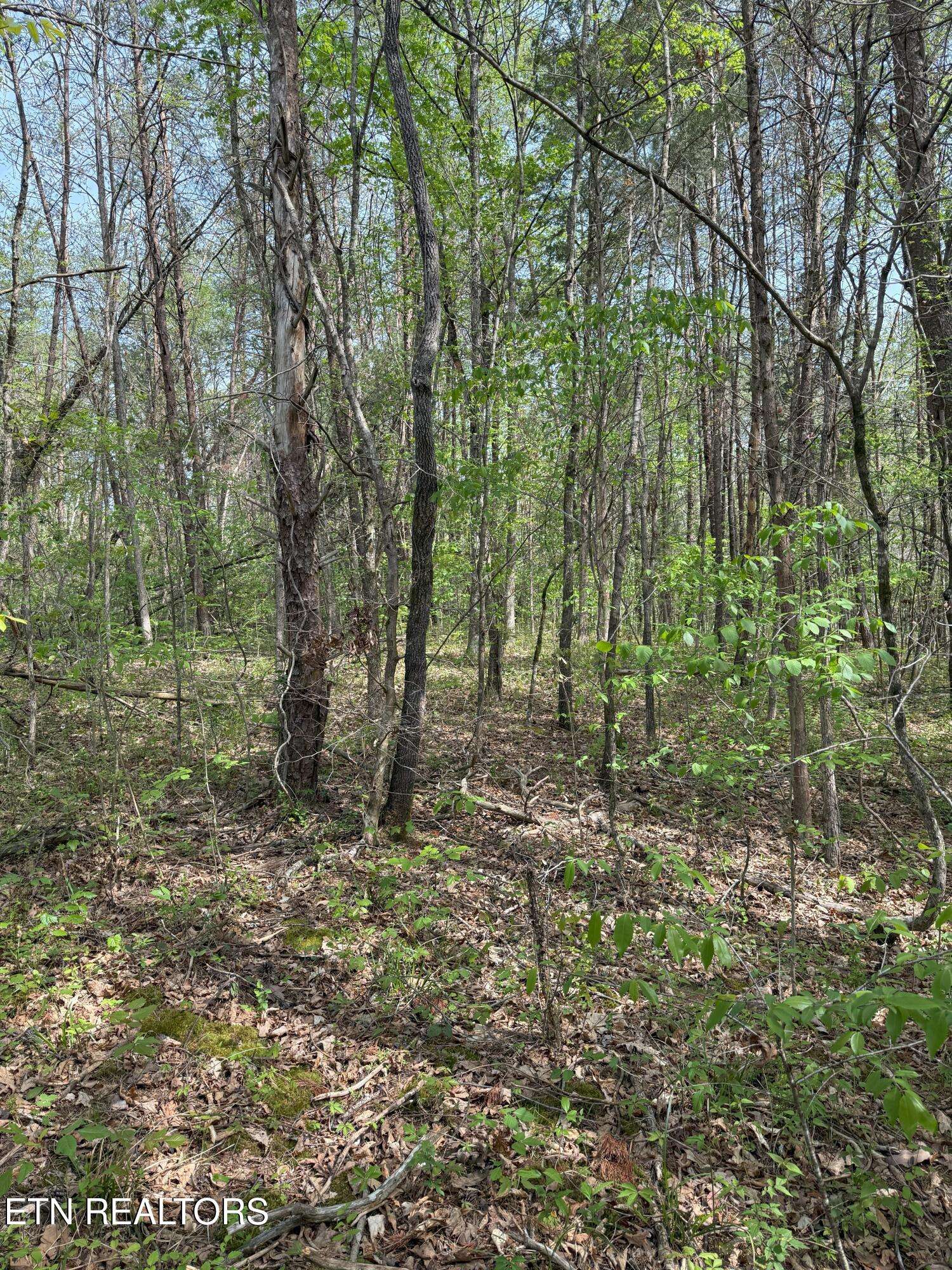 Vonore, TN 37885,Citico Rd