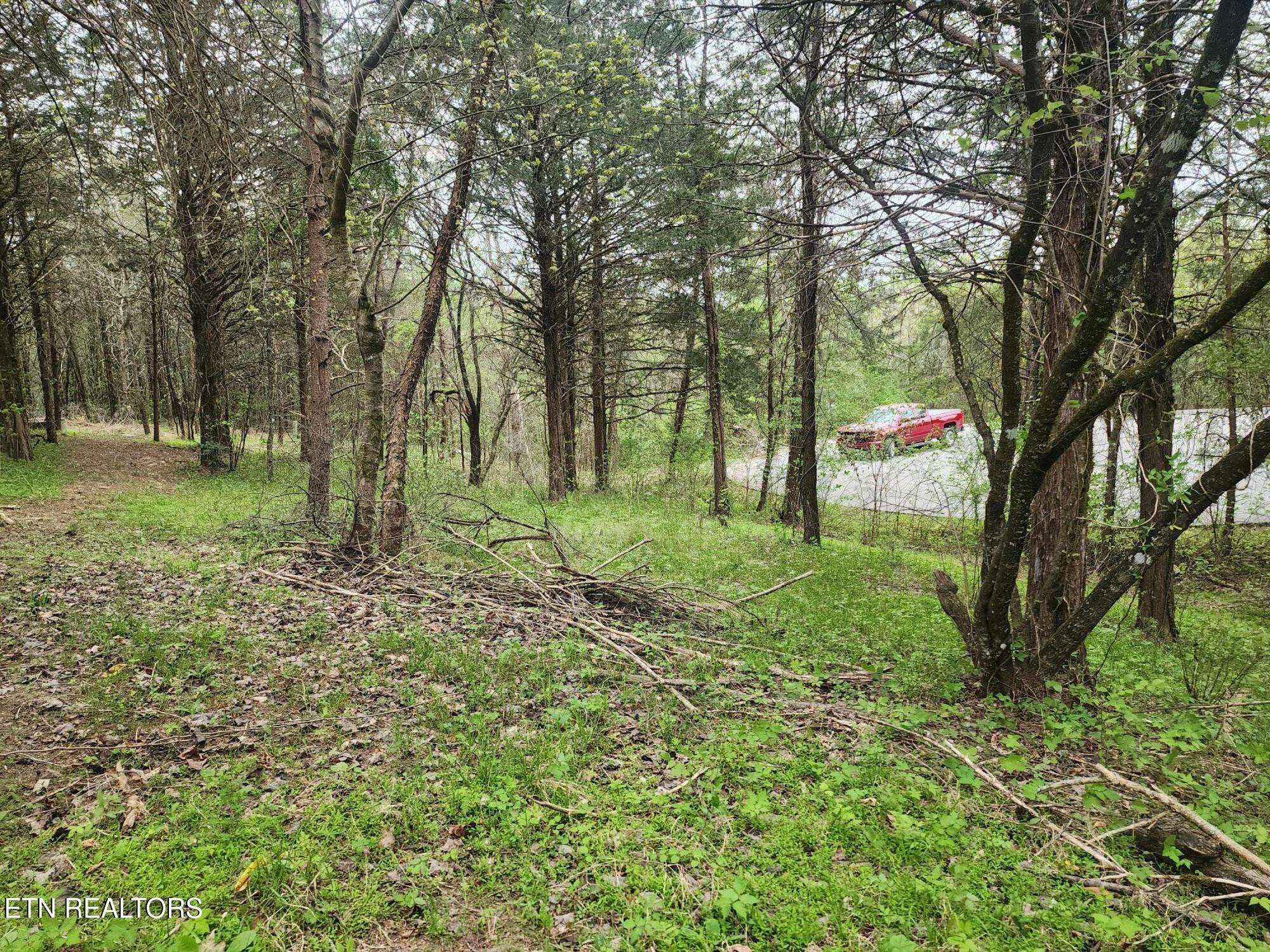 Tazewell, TN 37879,173 lot Wedge Way WAY
