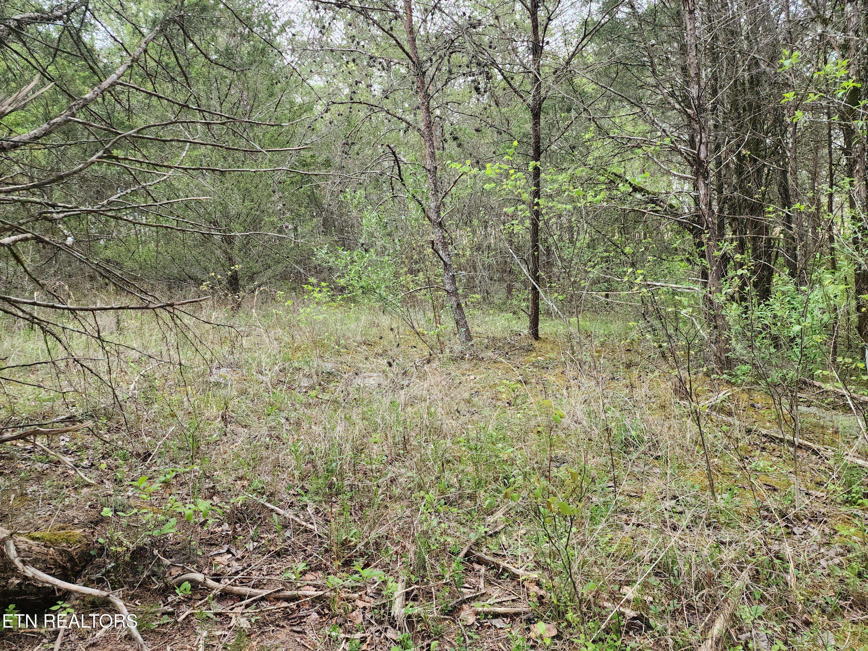 Tazewell, TN 37879,173 lot Wedge Way WAY