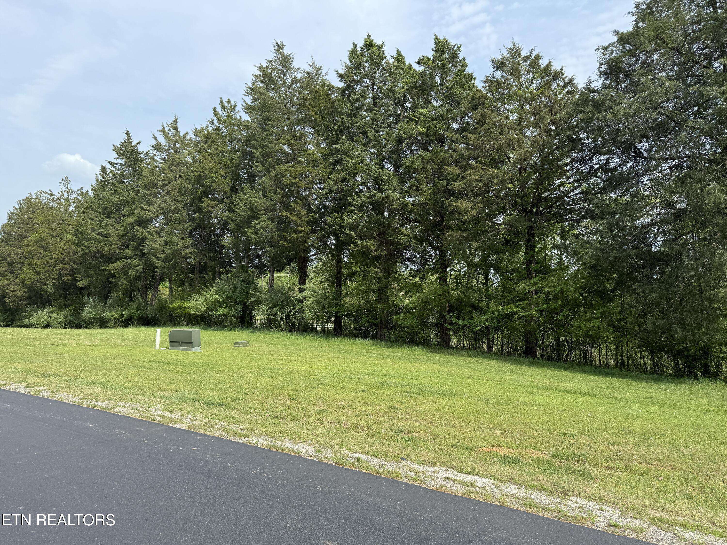 Rockwood, TN 37854,203 W. Shore Dr.
