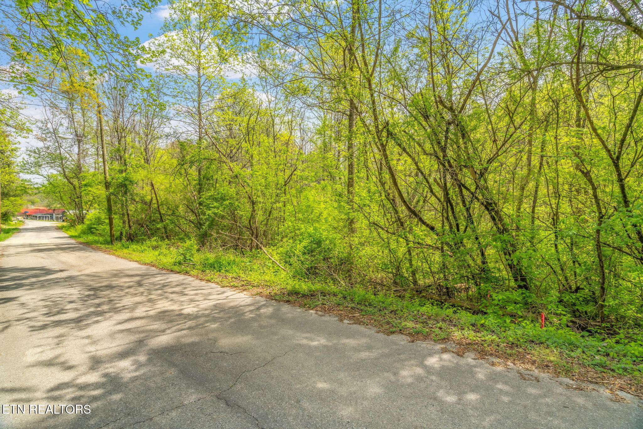 Oliver Springs, TN 37840,Lots 1-5 Hen Valley Rd