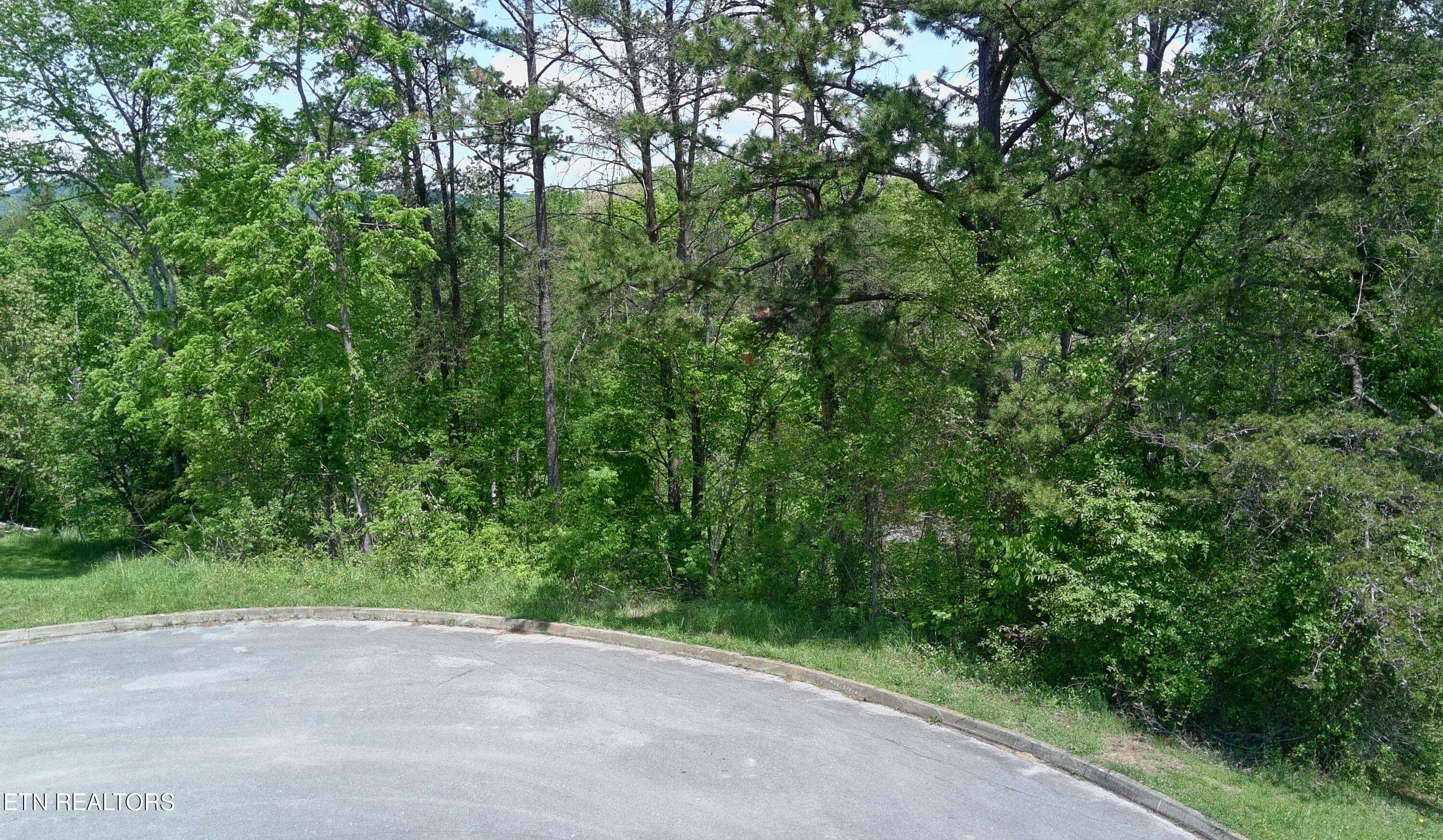 Dandridge, TN 37725,Lot 10 Antler Ridge