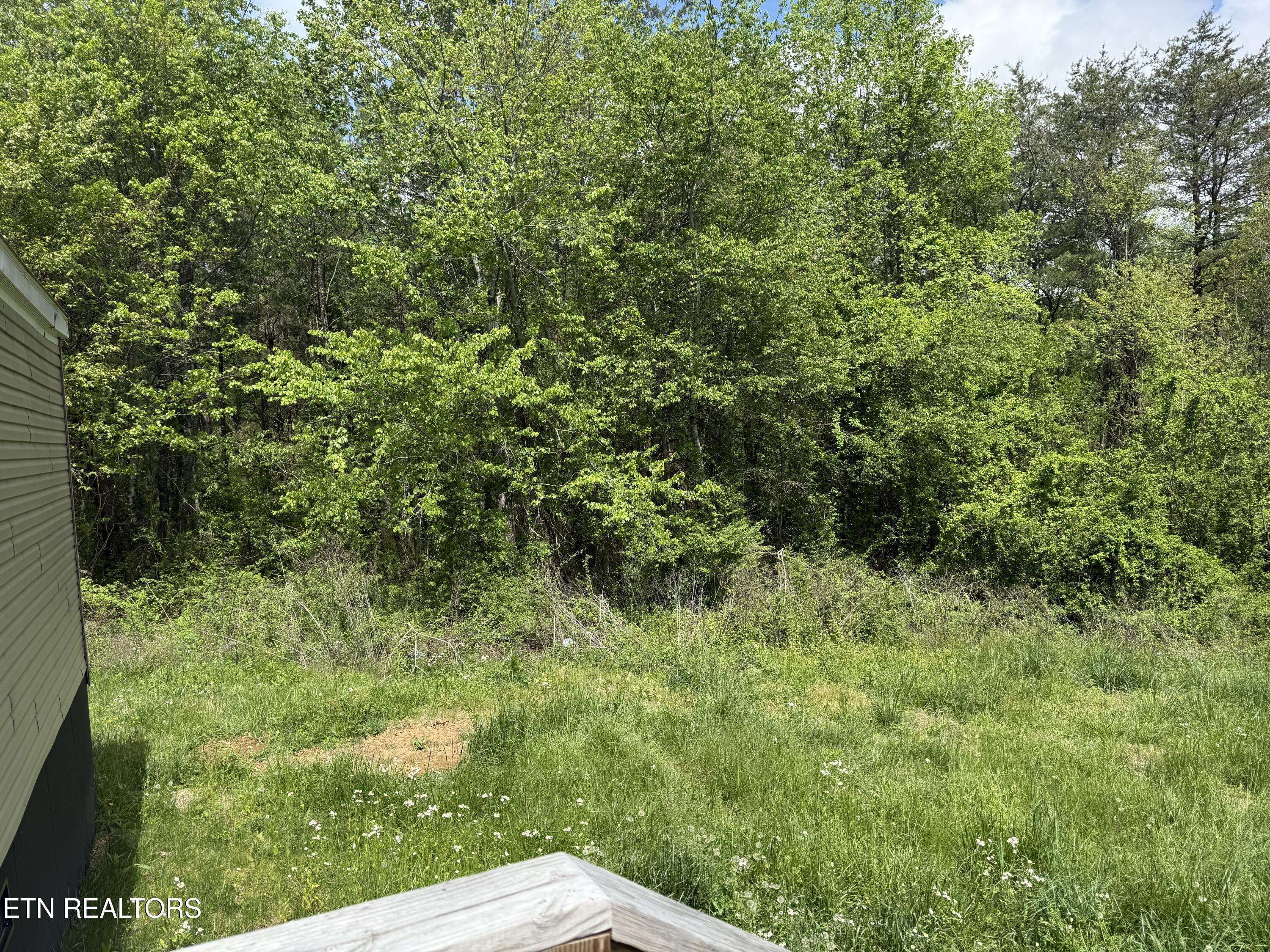 Rockwood, TN 37854,141 Hidden Acres