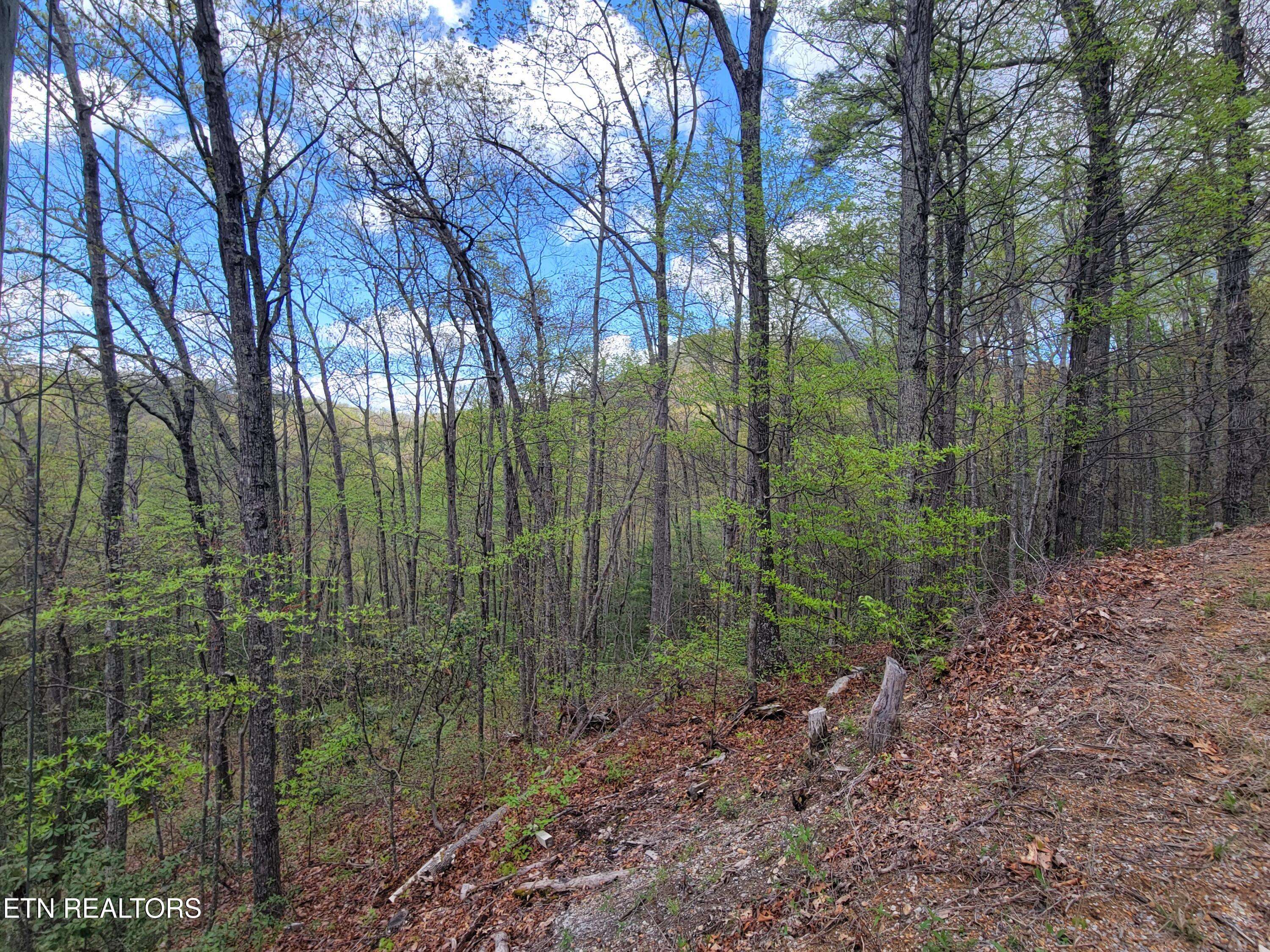 Sevierville, TN 37876,Lot 2 Sunset DR