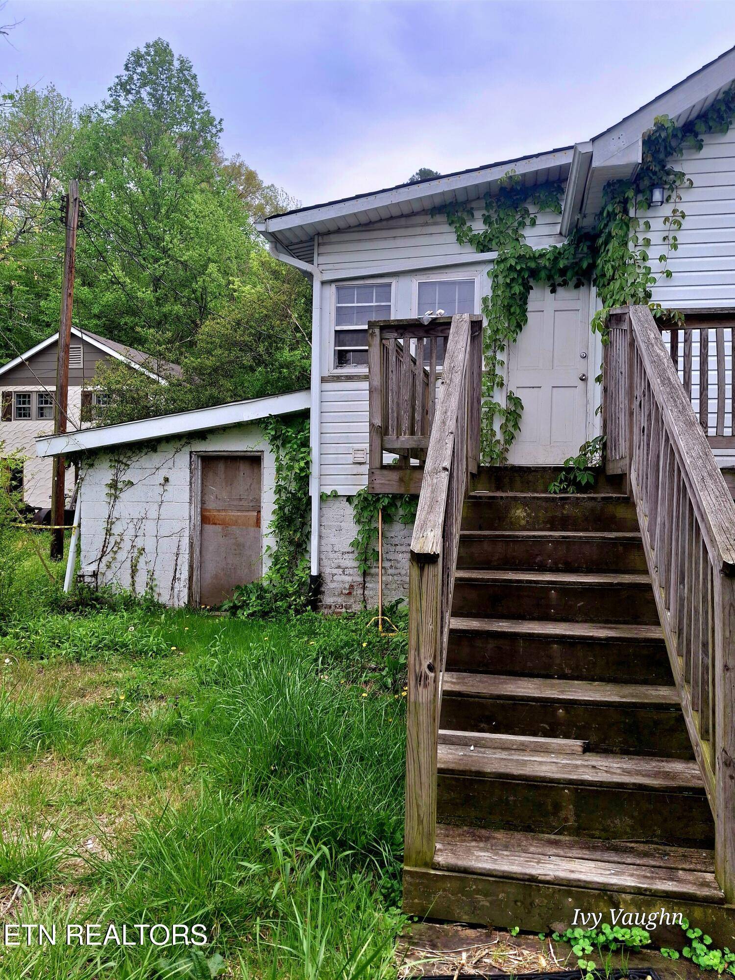 Rocky Top, TN 37769,904 Main St