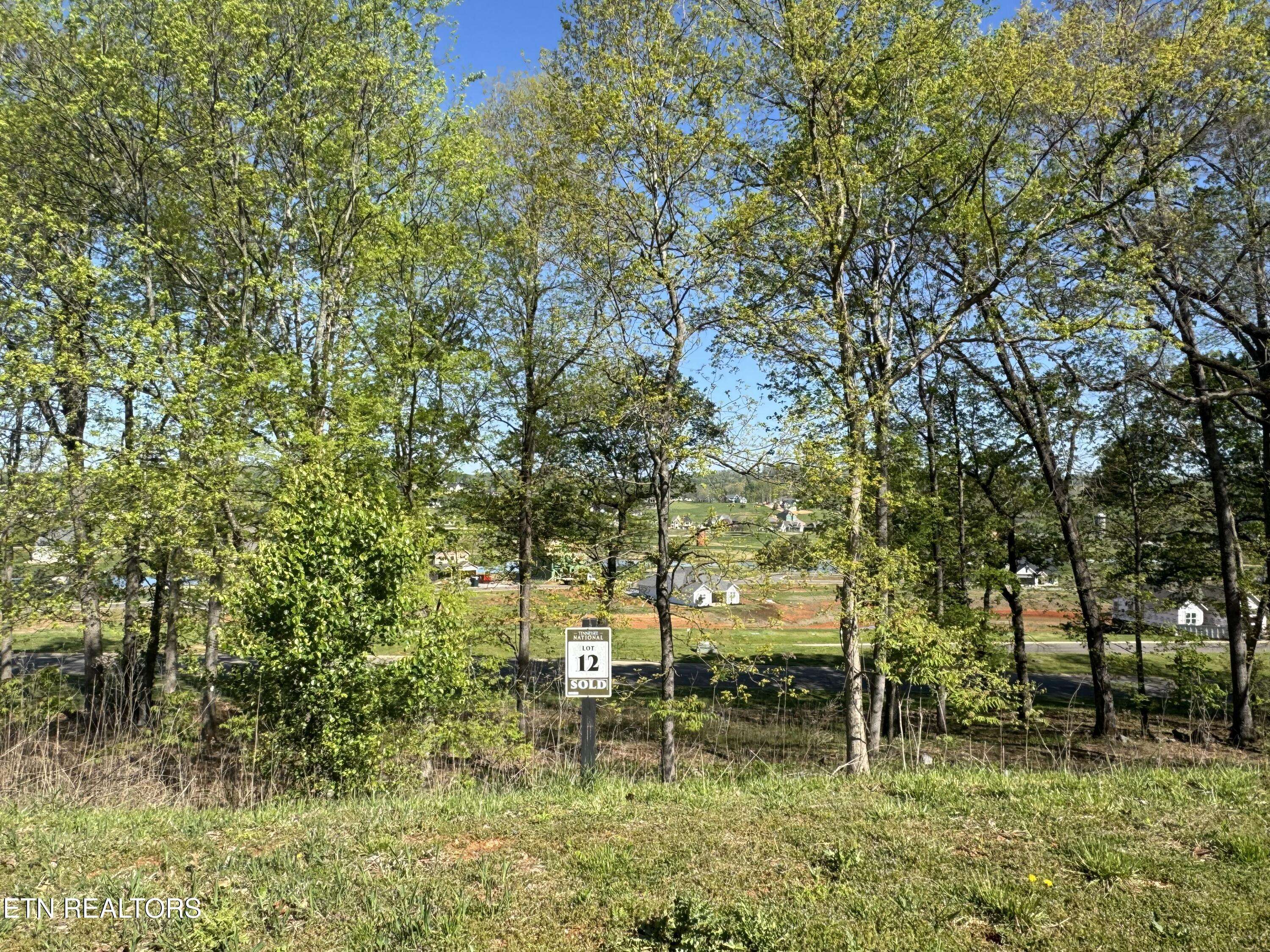 Loudon, TN 37774,1097 Black Cove LN