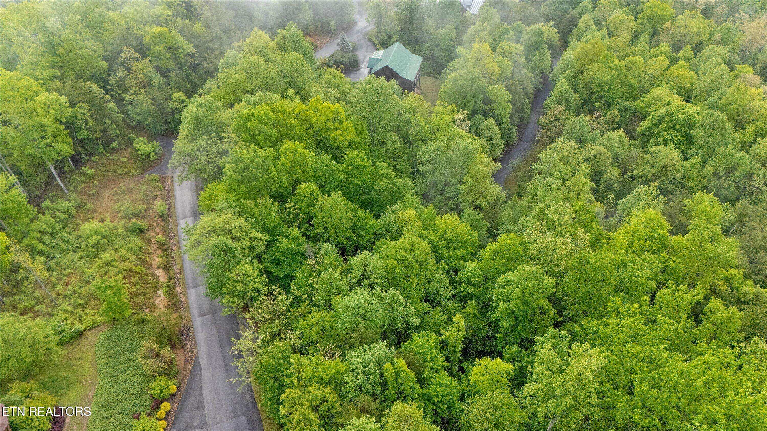 Sevierville, TN 37862,Smoky Vista WAY