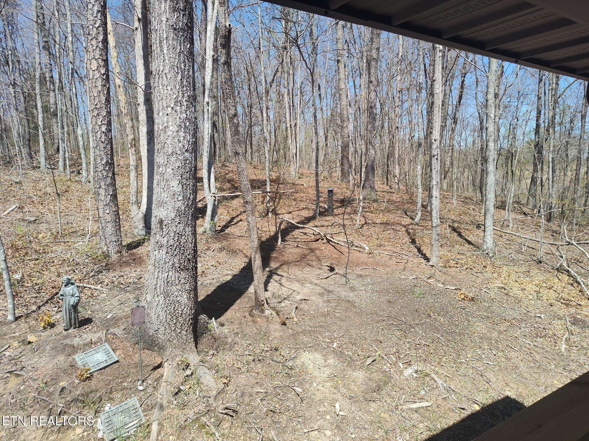 Jamestown, TN 38556,141 Northwood DR