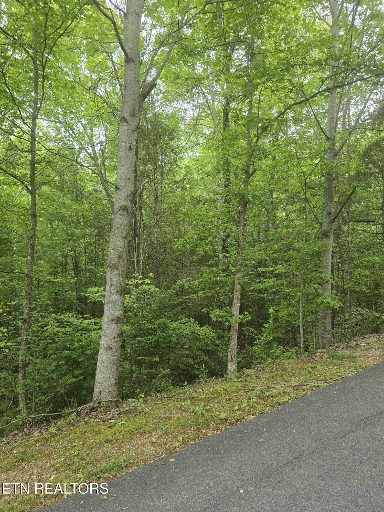 Sevierville, TN 37862,LOT 120 Lower Bluff WAY