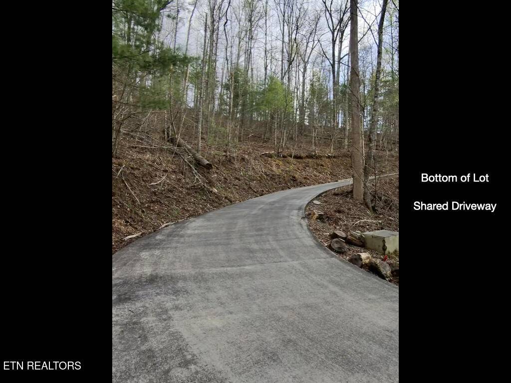 Townsend, TN 37882,815 Tanasi Tr