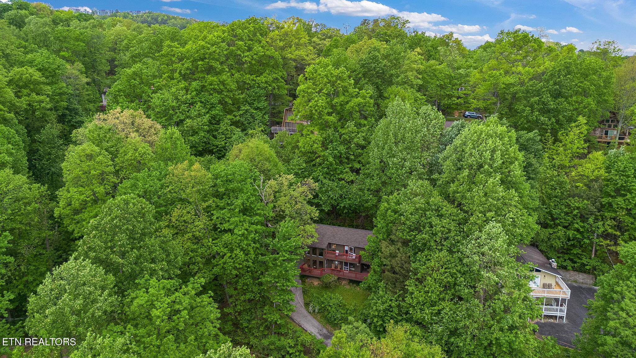 Gatlinburg, TN 37738,2115 Luzerne DR