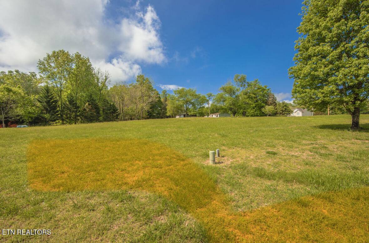 Harriman, TN 37748,Swan Pond