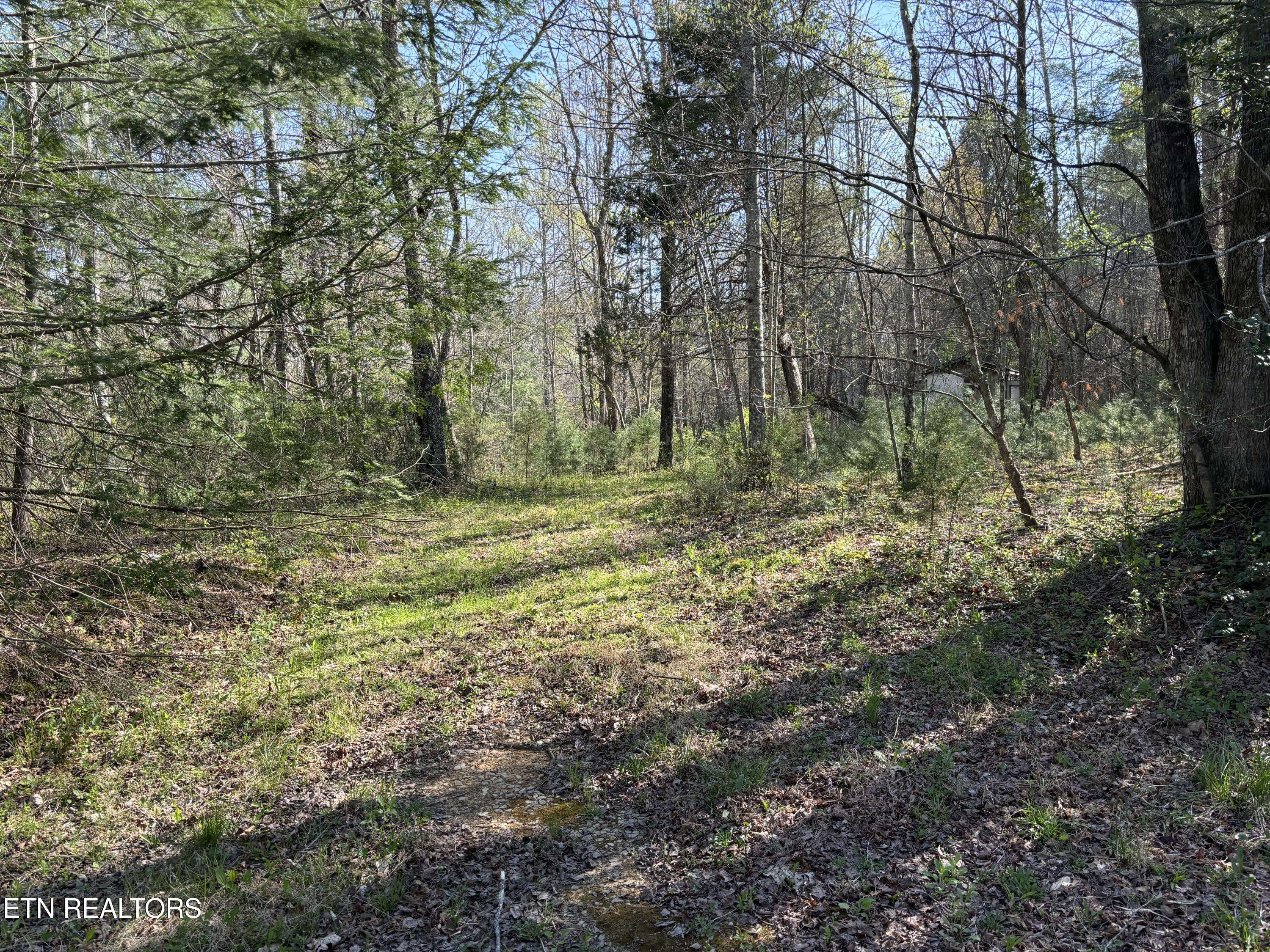 Robbins, TN 37852,Brewstertown Cemetery Rd
