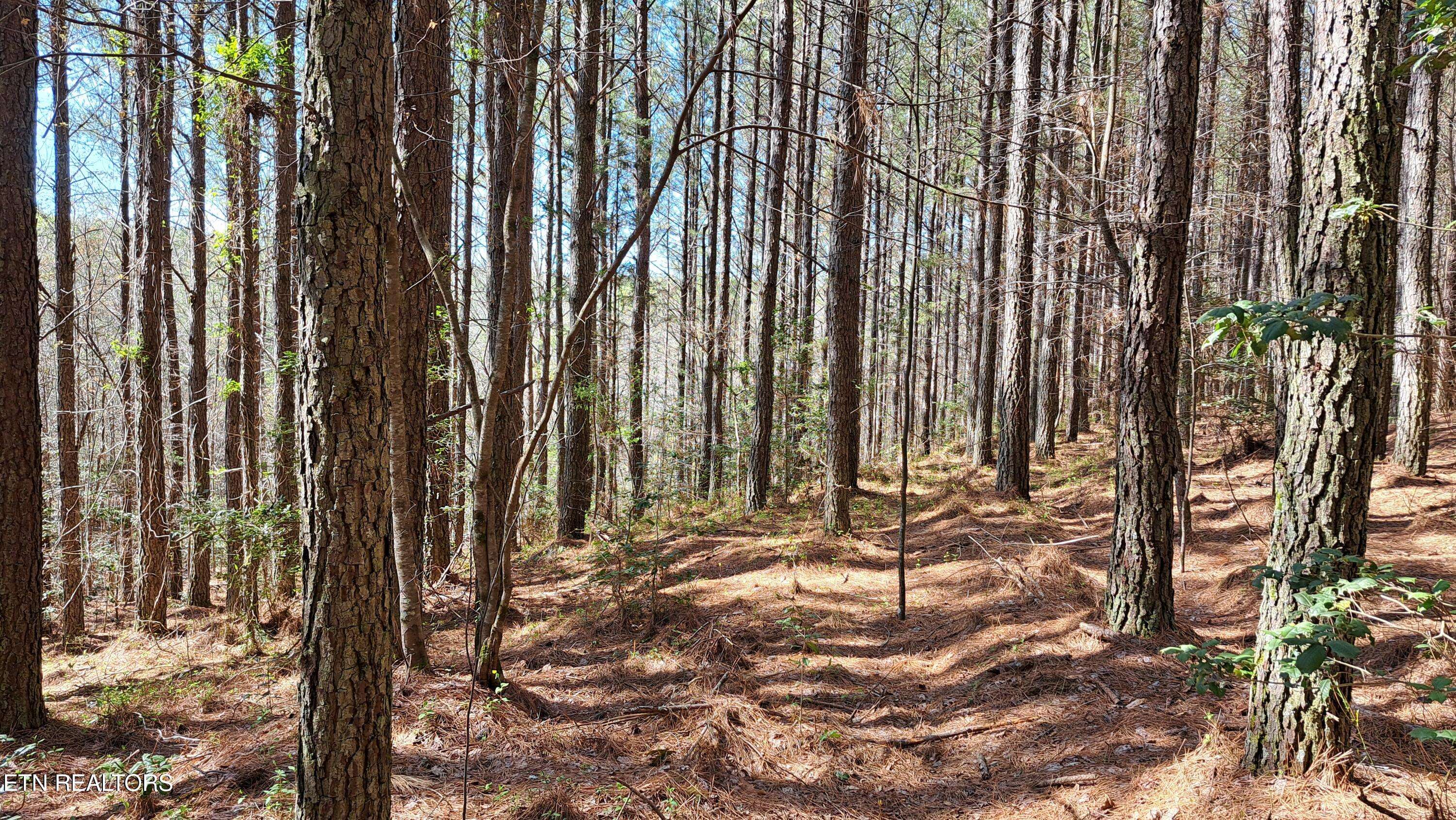 Rockwood, TN 37854,Airport Rd - Lot 23 (PCA)