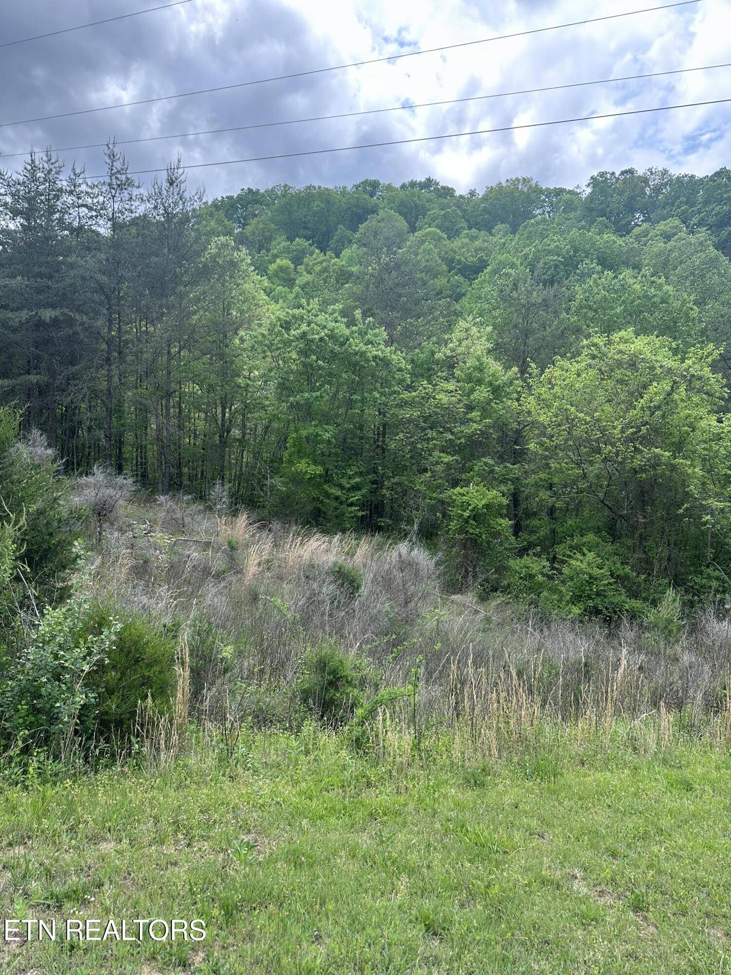 Tazewell, TN 37879,1405 Clinch River Rd