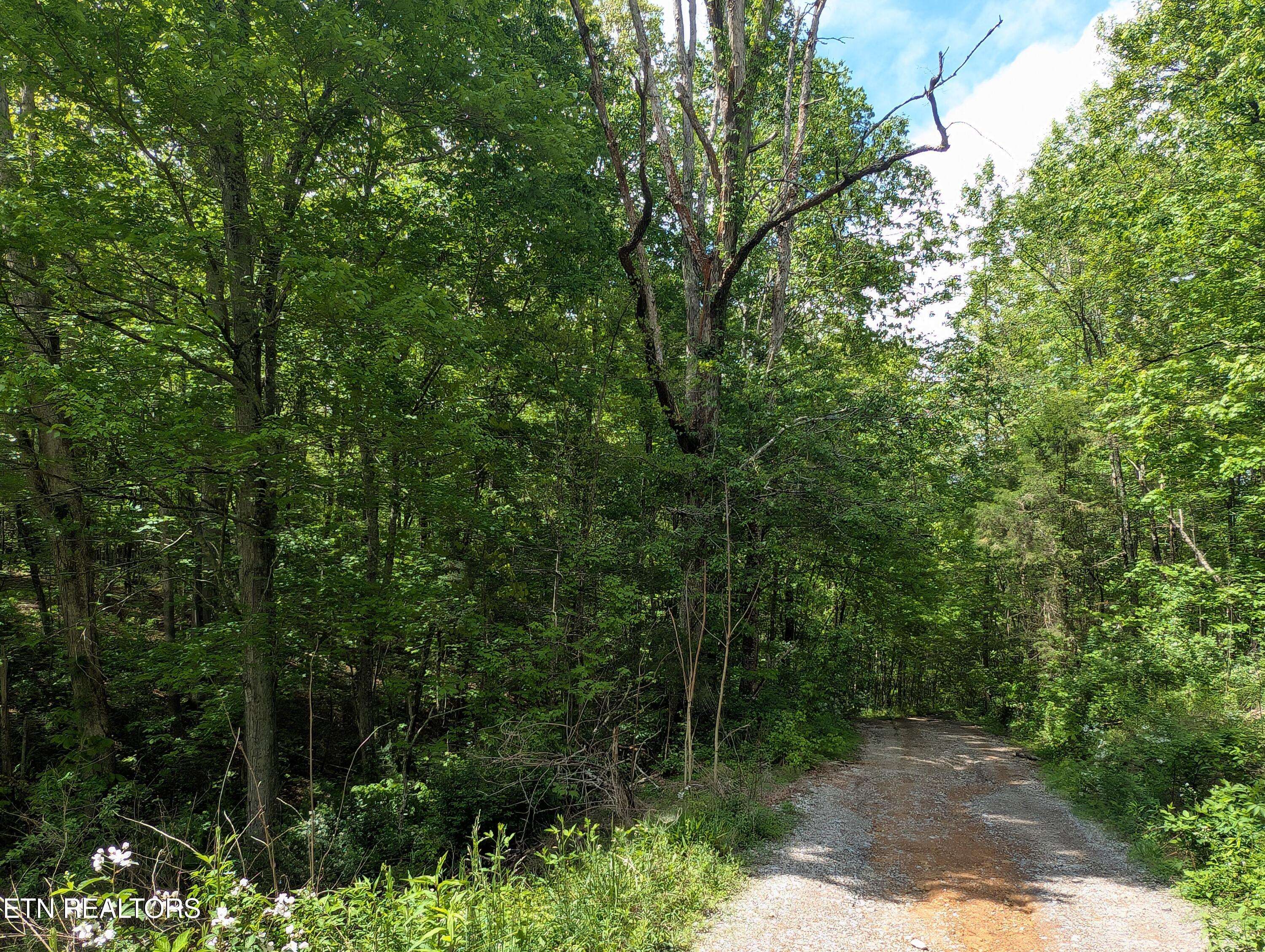 Lancing, TN 37770,158 Jess Ridge Rd