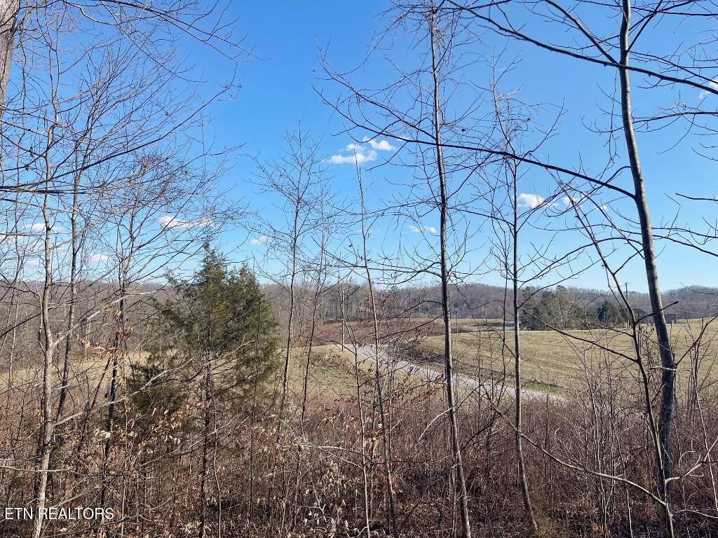 Maynardville, TN 37807,Hickory PT