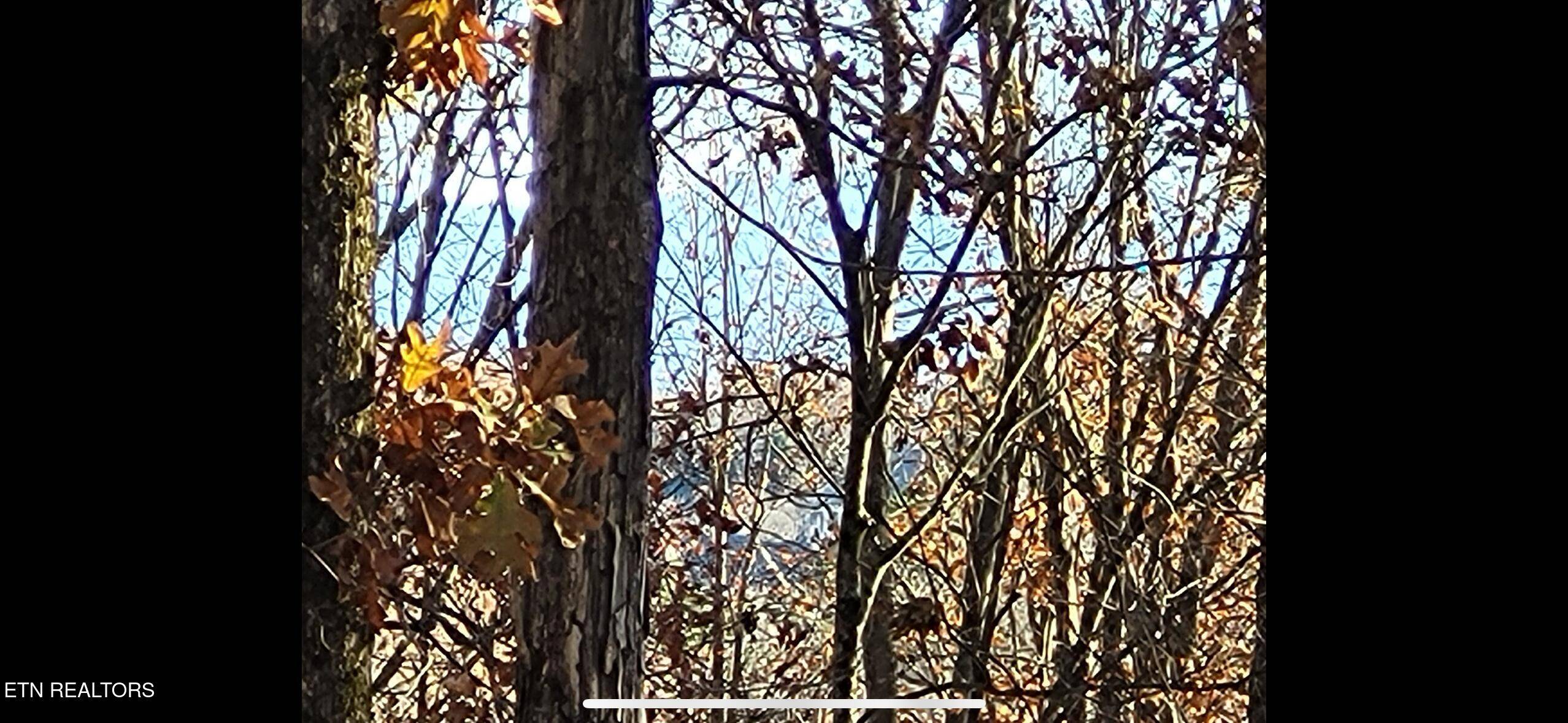 Vonore, TN 37885,419 Mountain View DR