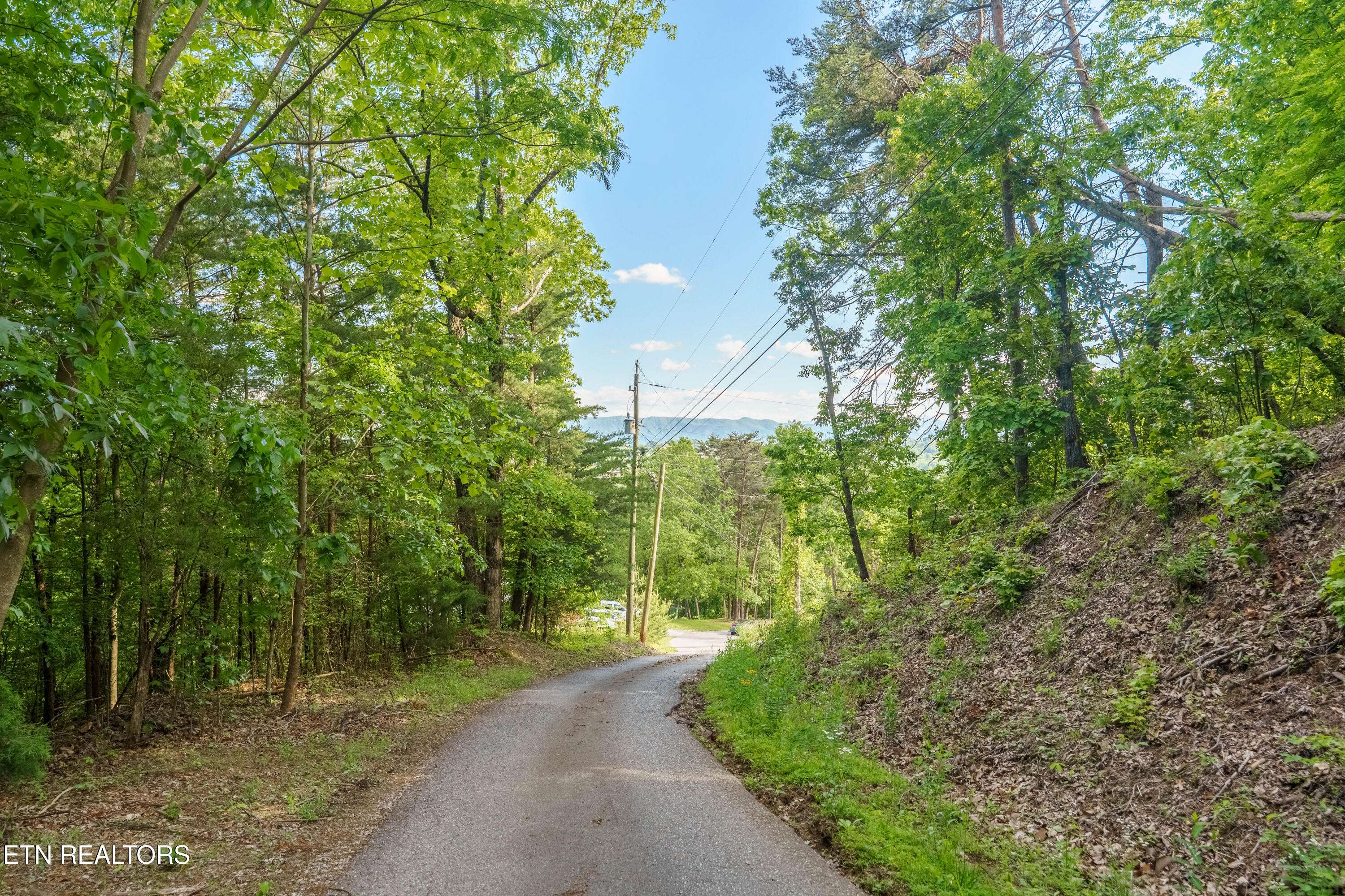 Seymour, TN 37865,Cunningham Rd