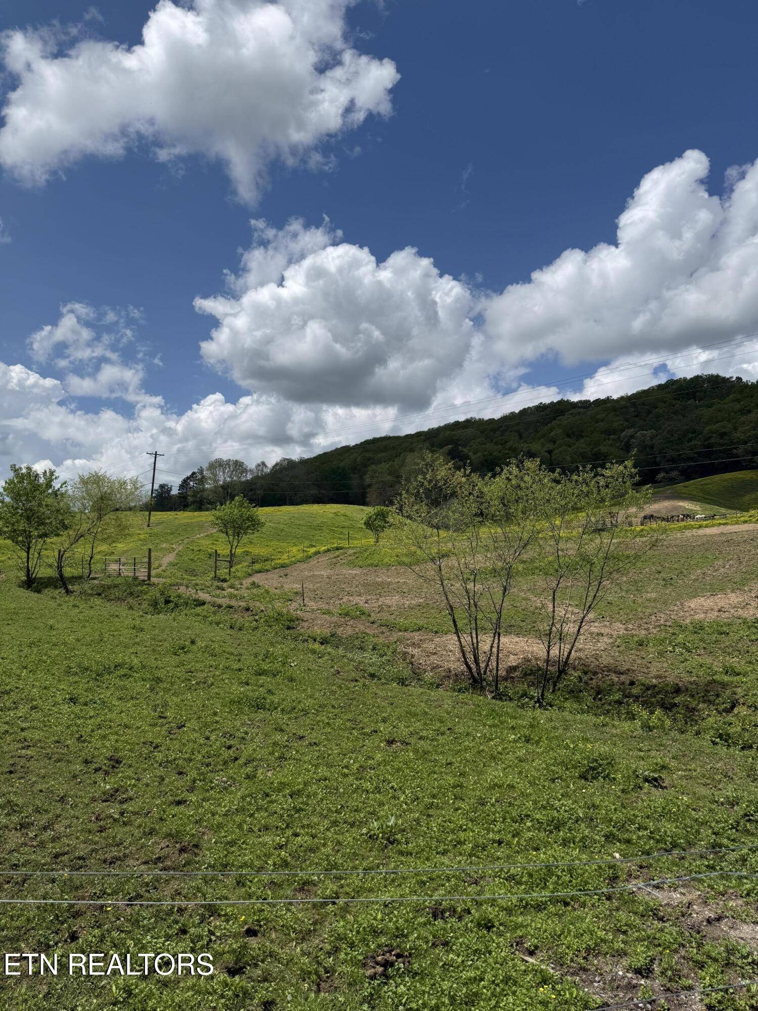 Washburn, TN 37888,3427 Tater Valley Rd
