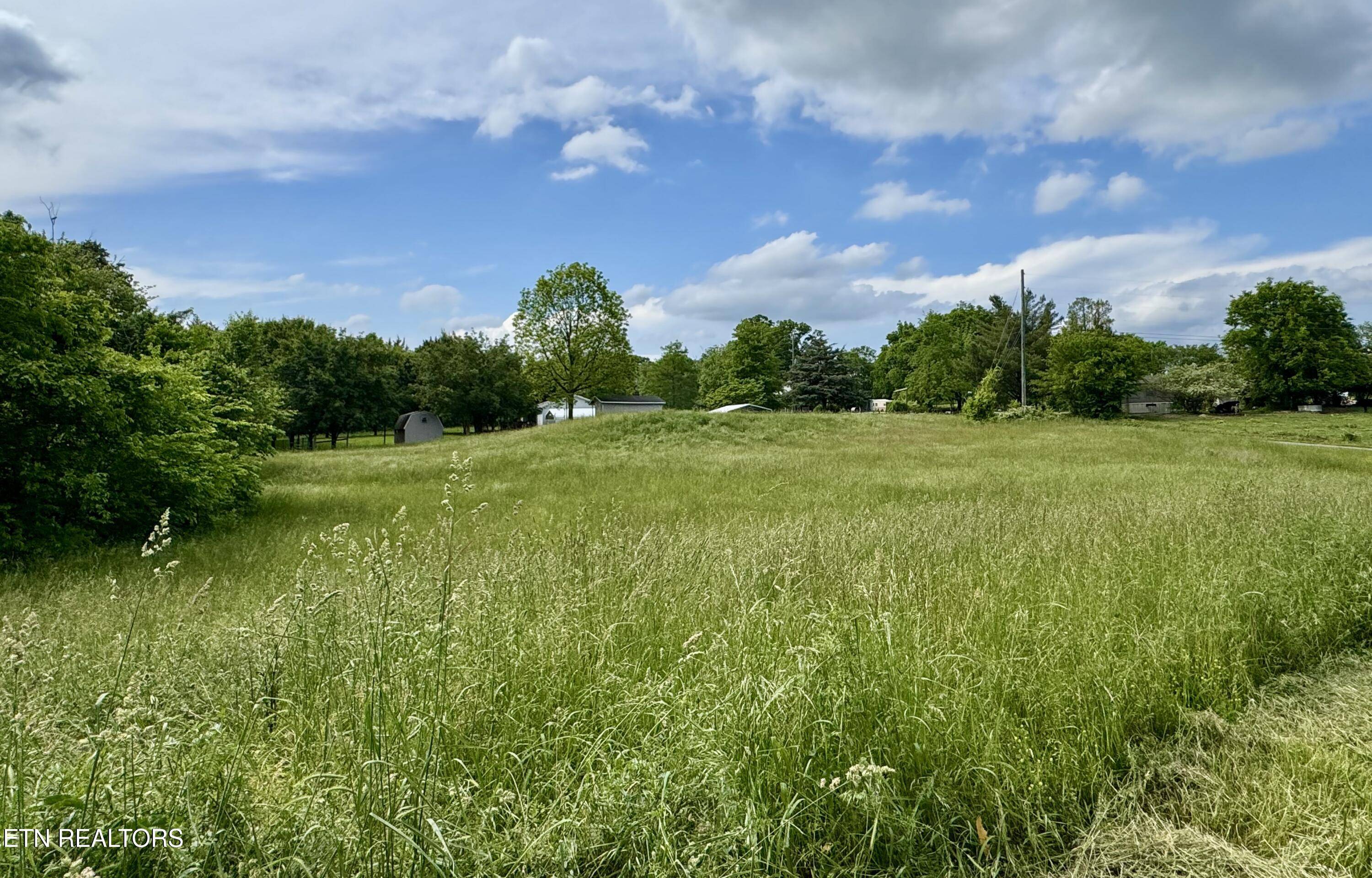 Dandridge, TN 37725,Meadowcrest LN
