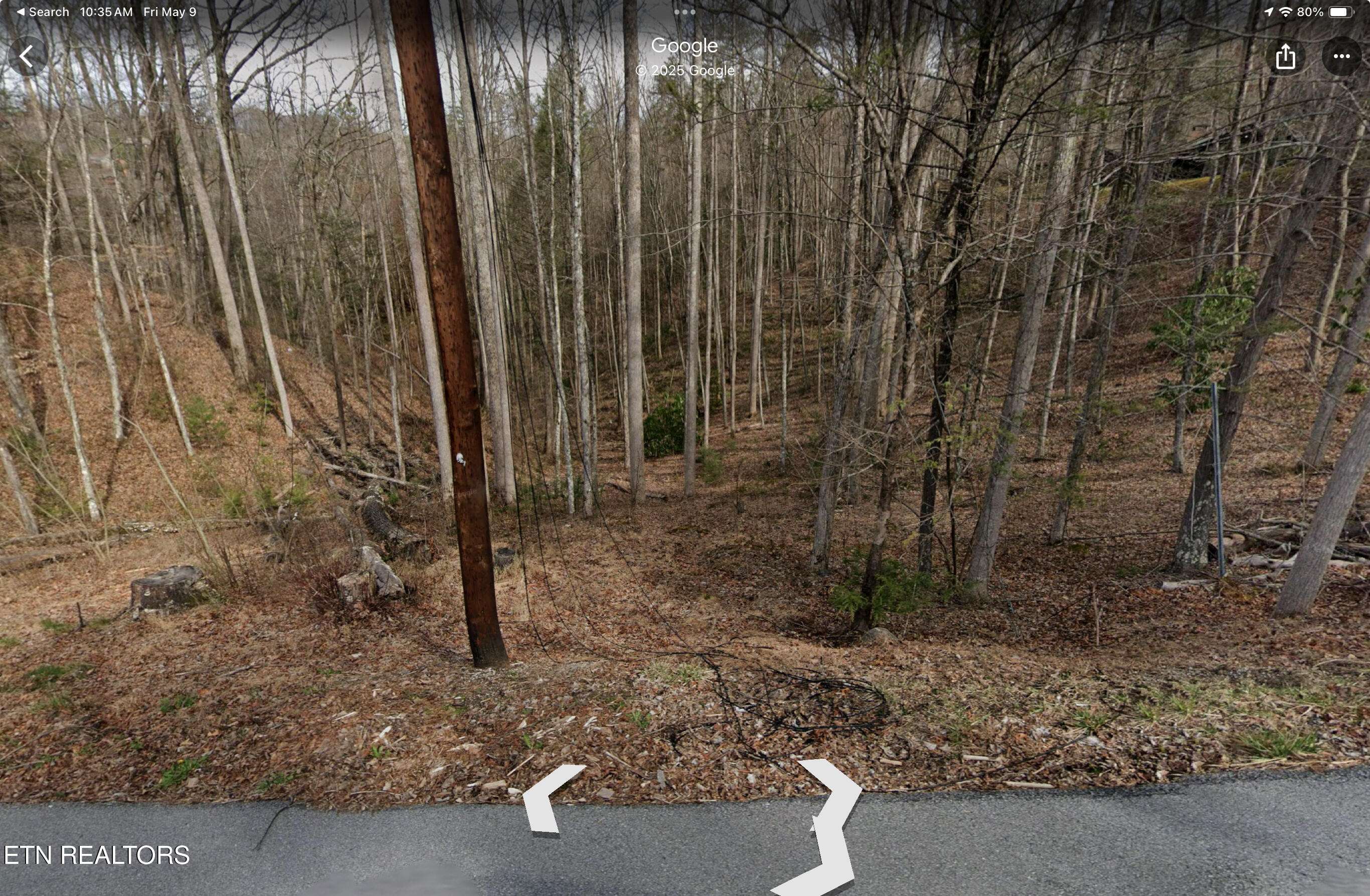Gatlinburg, TN 37738,Lots 1,4-6 Old Cartertown Rd