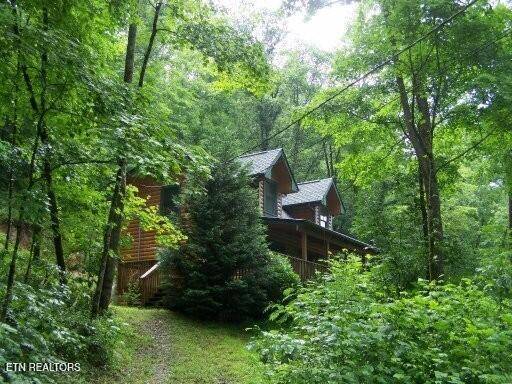 Townsend, TN 37882,308 Black Mash Hollow Rd