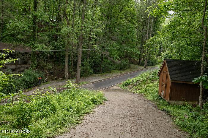 Townsend, TN 37882,308 Black Mash Hollow Rd