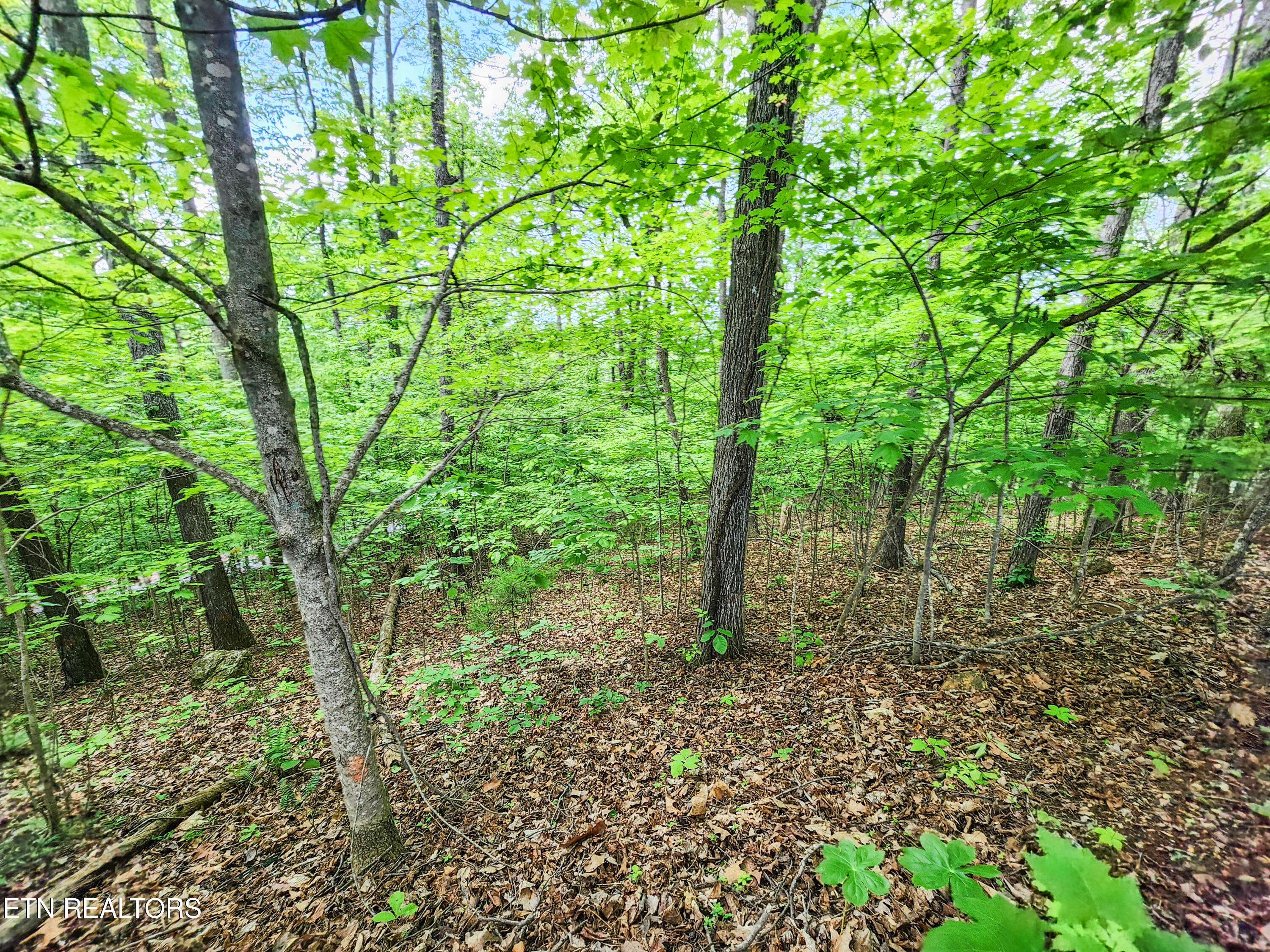 Maynardville, TN 37807,208 Sara LN