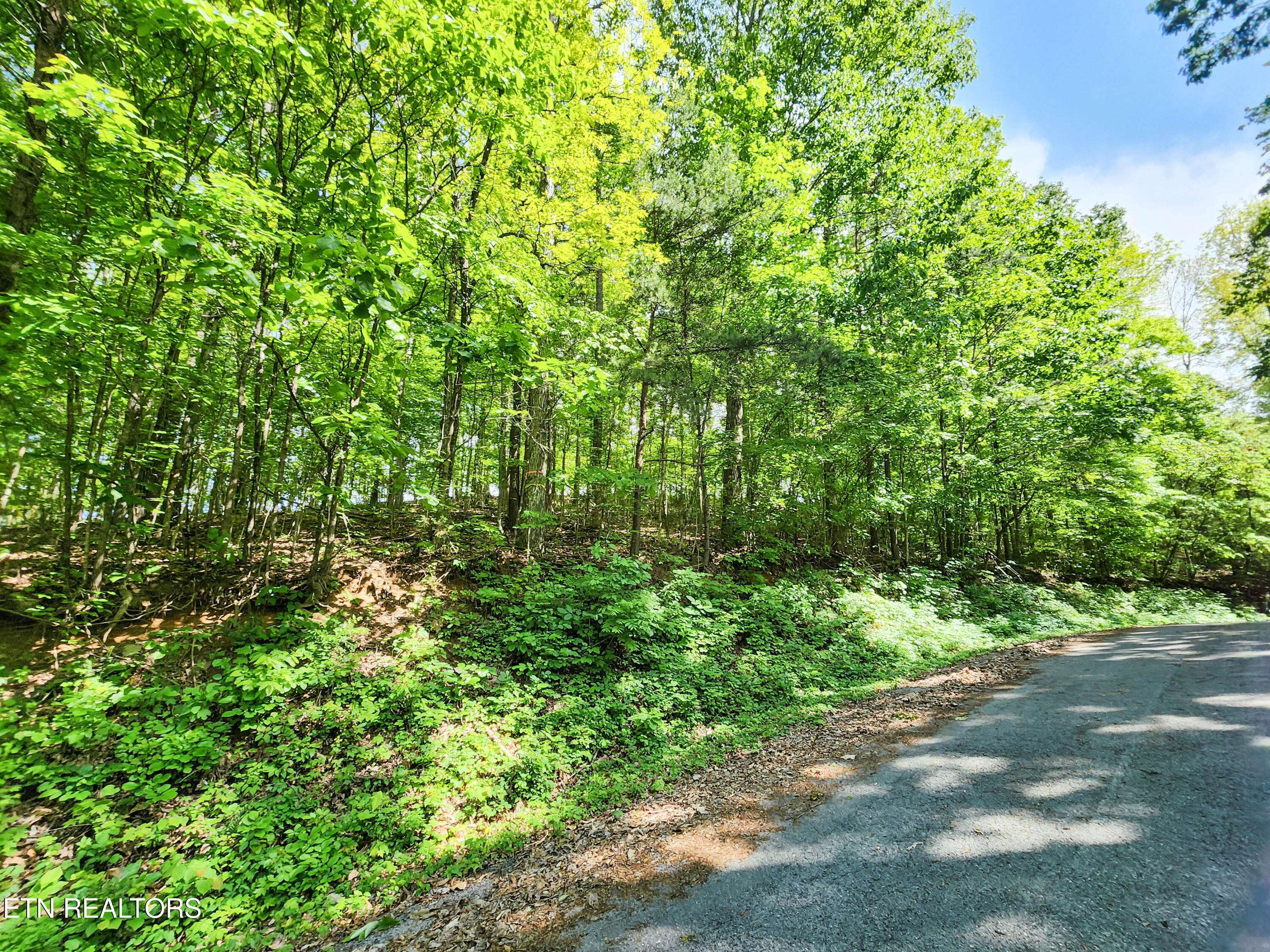 Maynardville, TN 37807,208 Sara LN