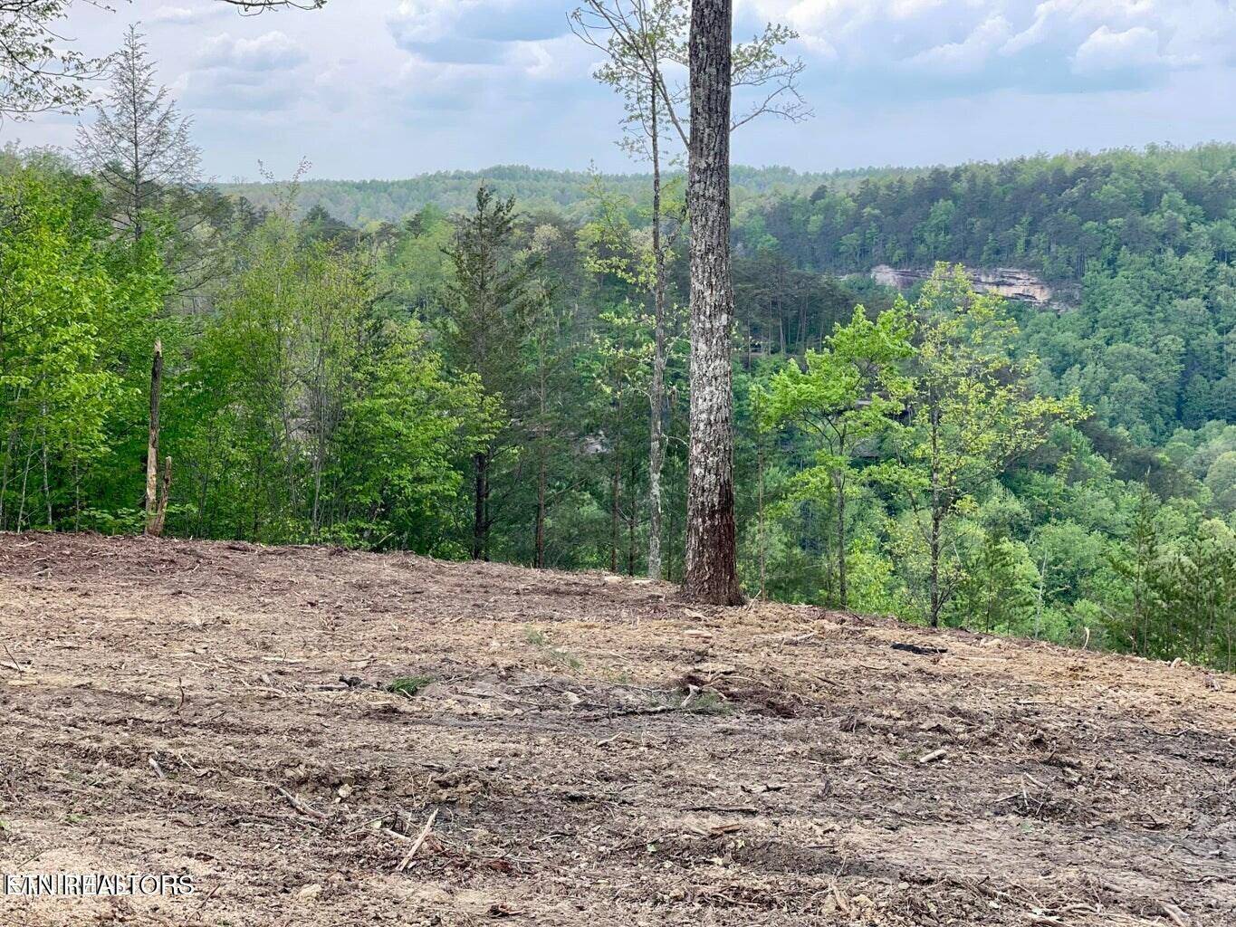 Jamestown, TN 38556,Lot 51 Grandview WAY