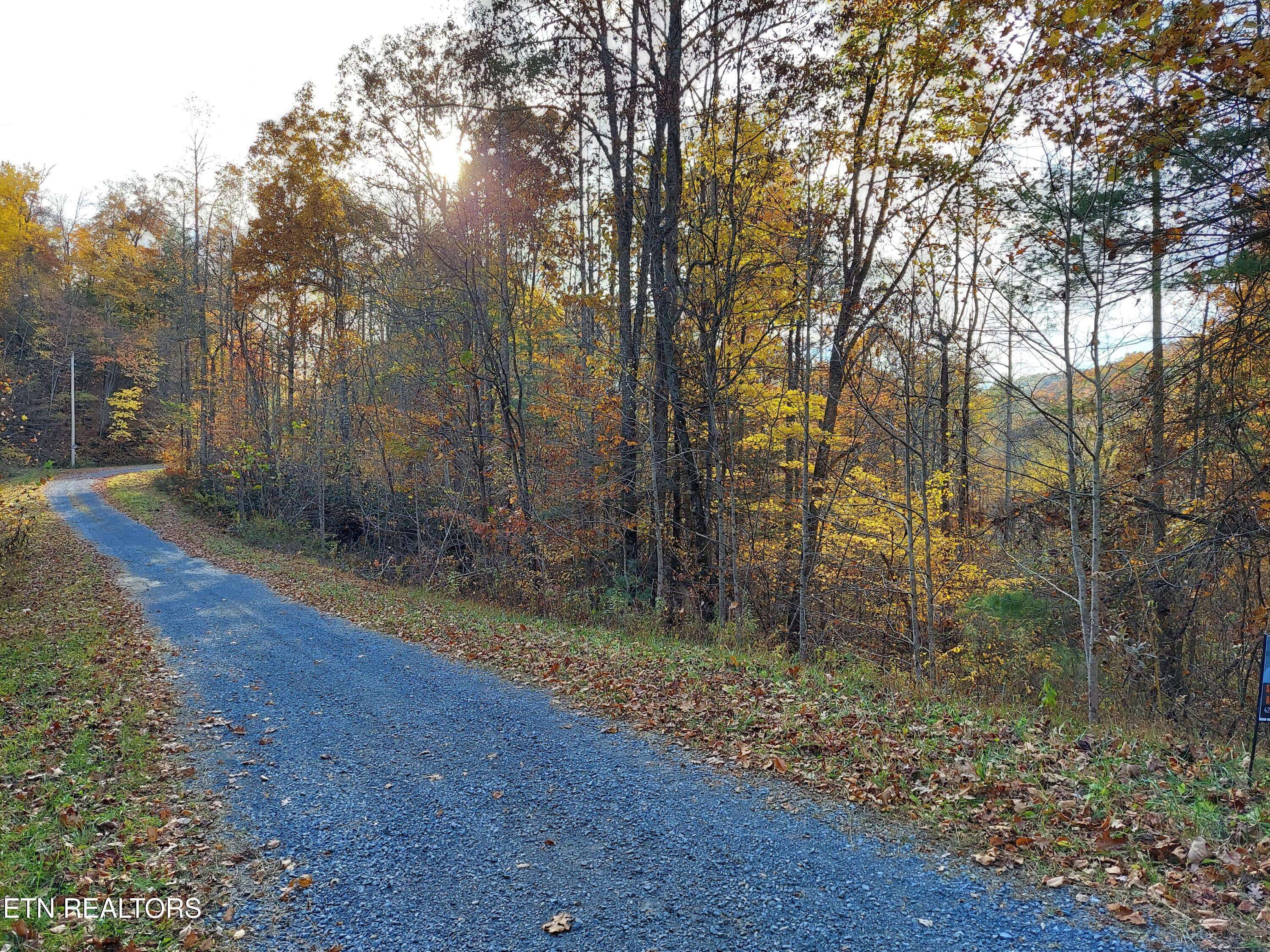 Del Rio, TN 37727,1.76 Acres Sugar Maple WAY