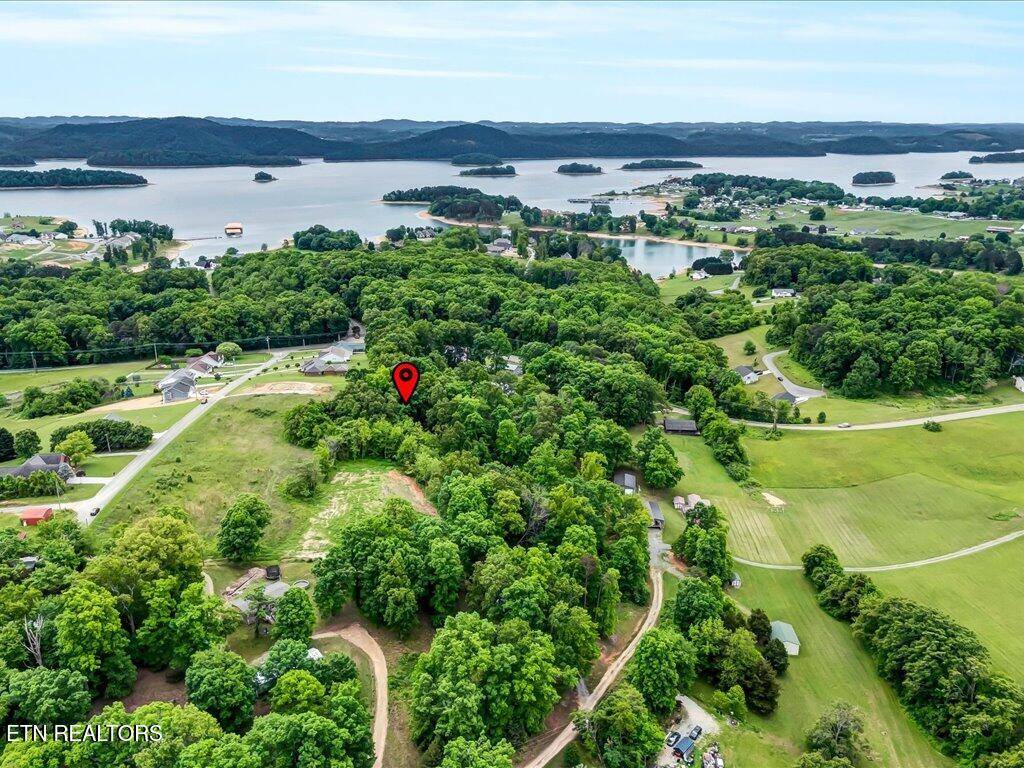 Rutledge, TN 37861,0 Ostrich LN
