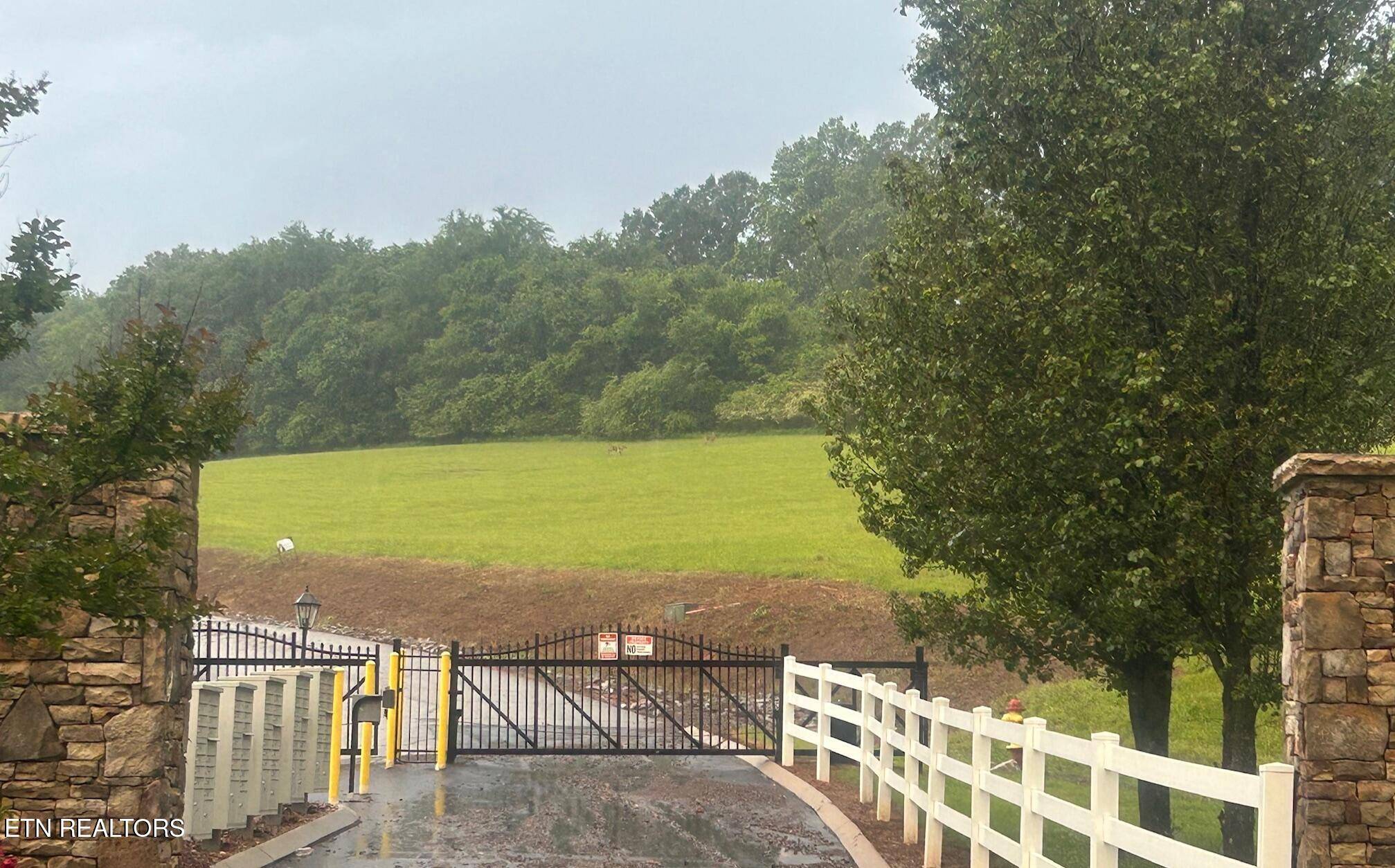 Decatur, TN 37322,Lot 52 The Gates DR