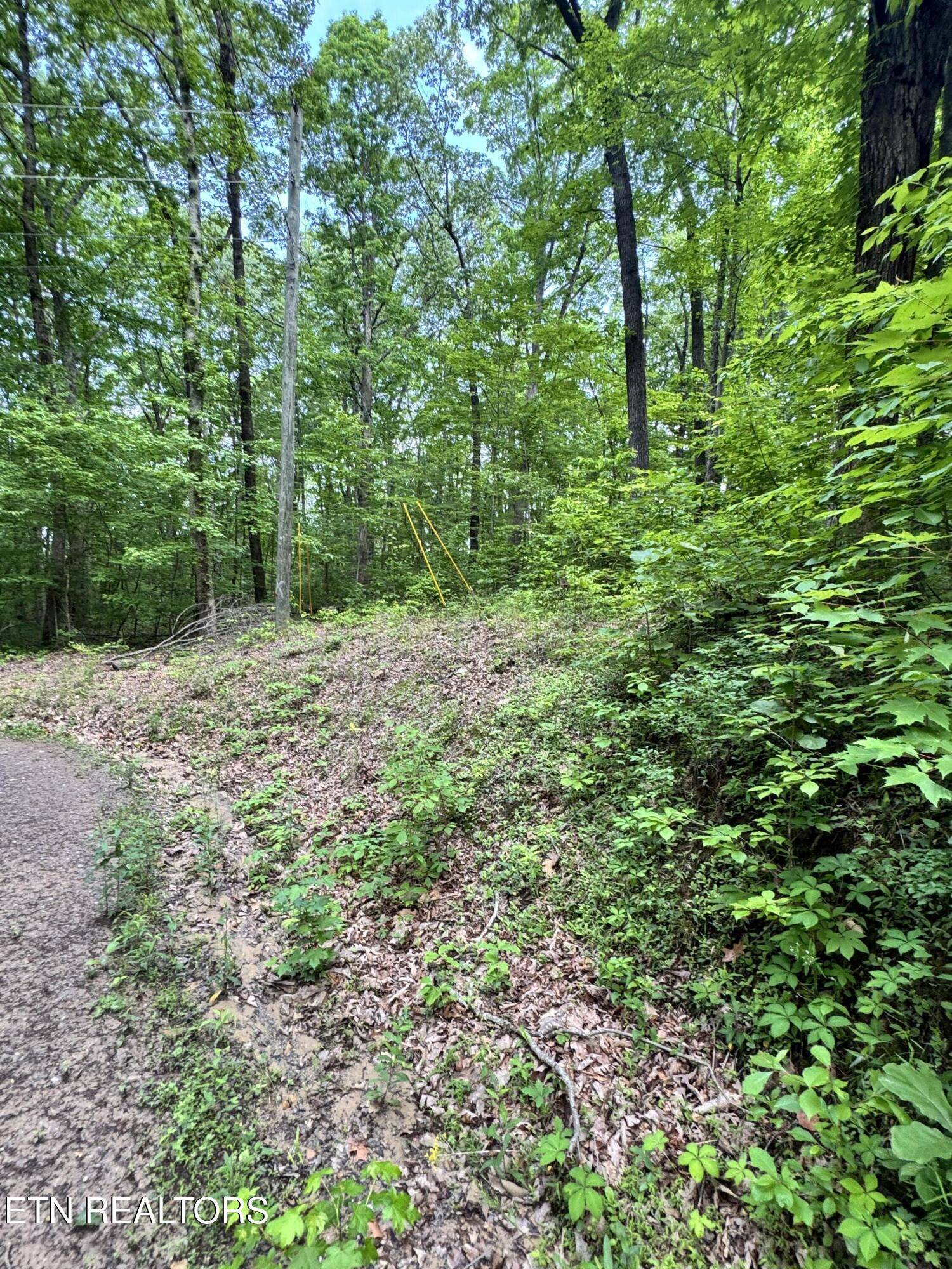 Seymour, TN 37865,Prettiest Sunset Lot #4 WAY