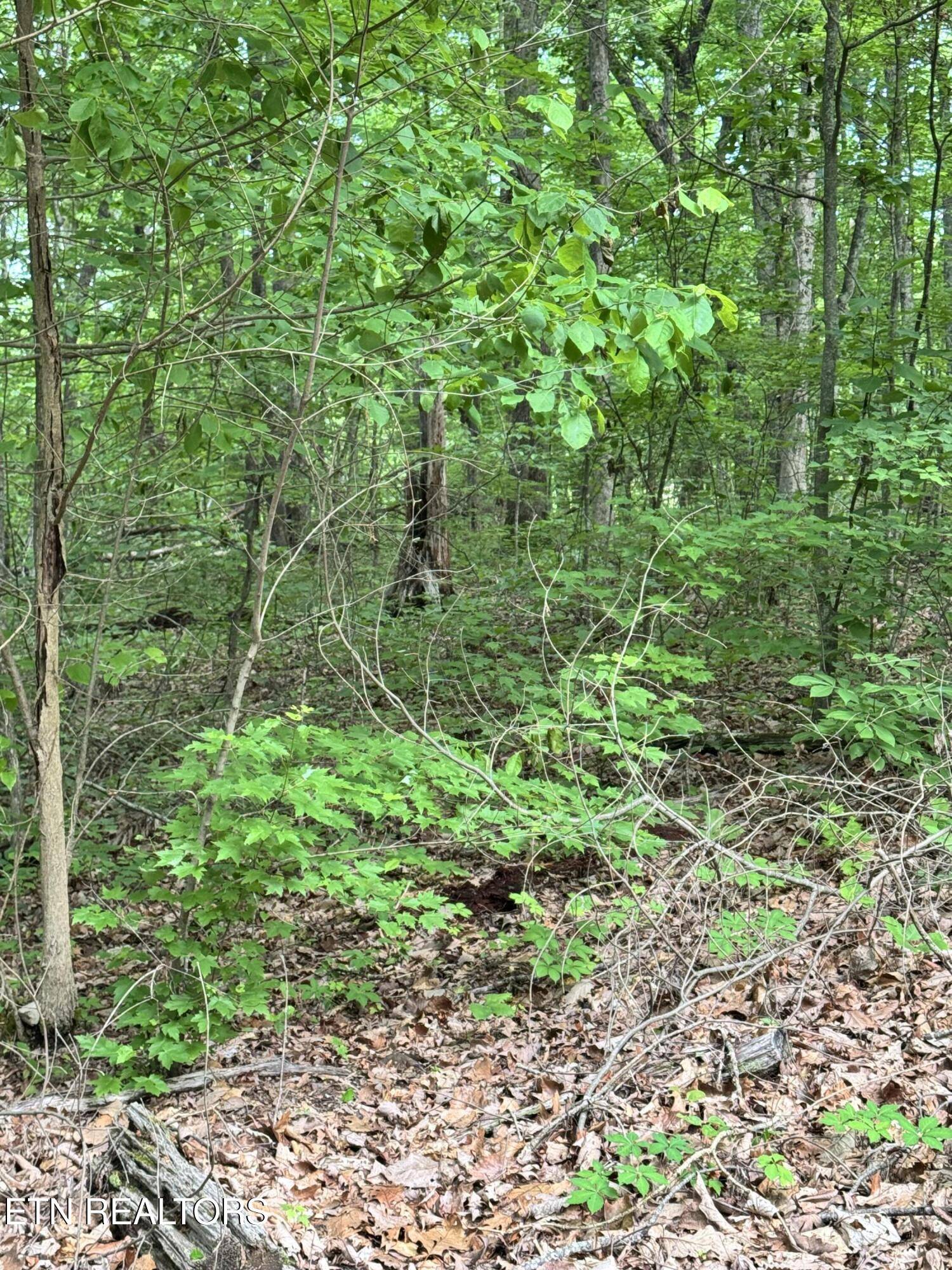 Seymour, TN 37865,Prettiest Sunset Lot #4 WAY