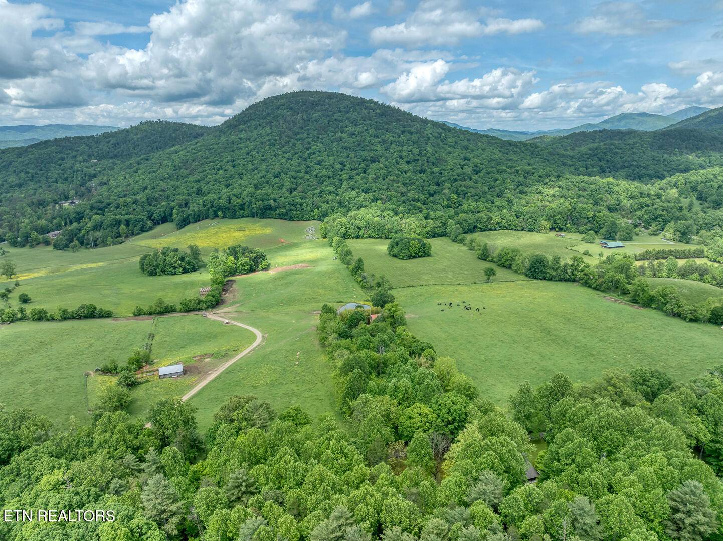 Townsend, TN 37882,1153 Schoolhouse Gap Rd