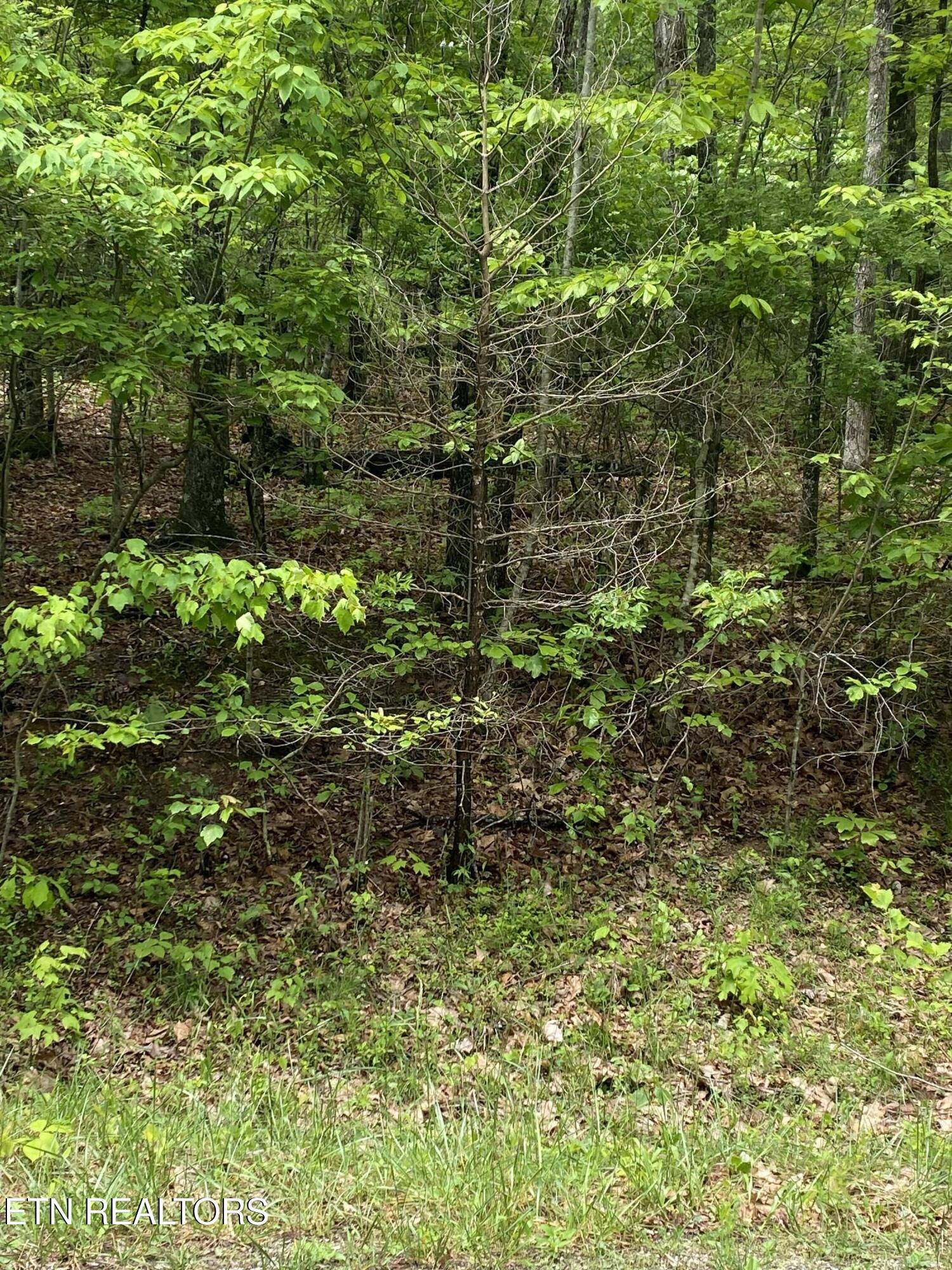 Crossville, TN 38572,612 Catawba LN