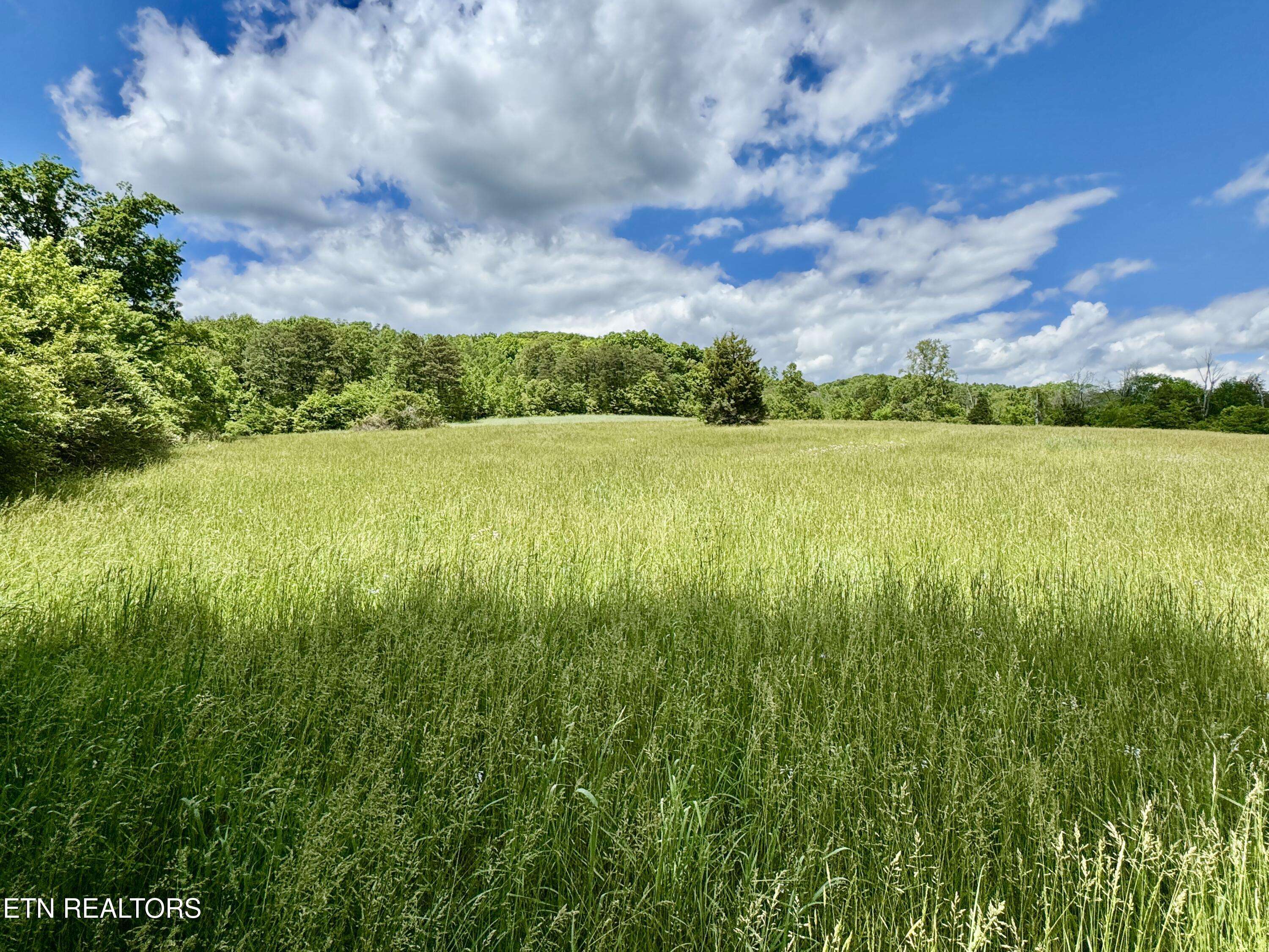 Heiskell, TN 37754,Raccoon Valley DR